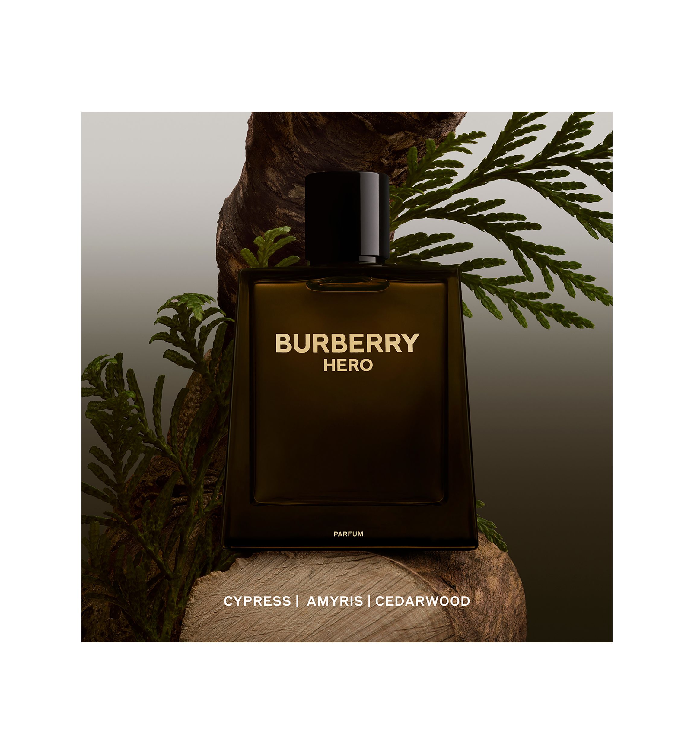 Hero Parfum for Men 