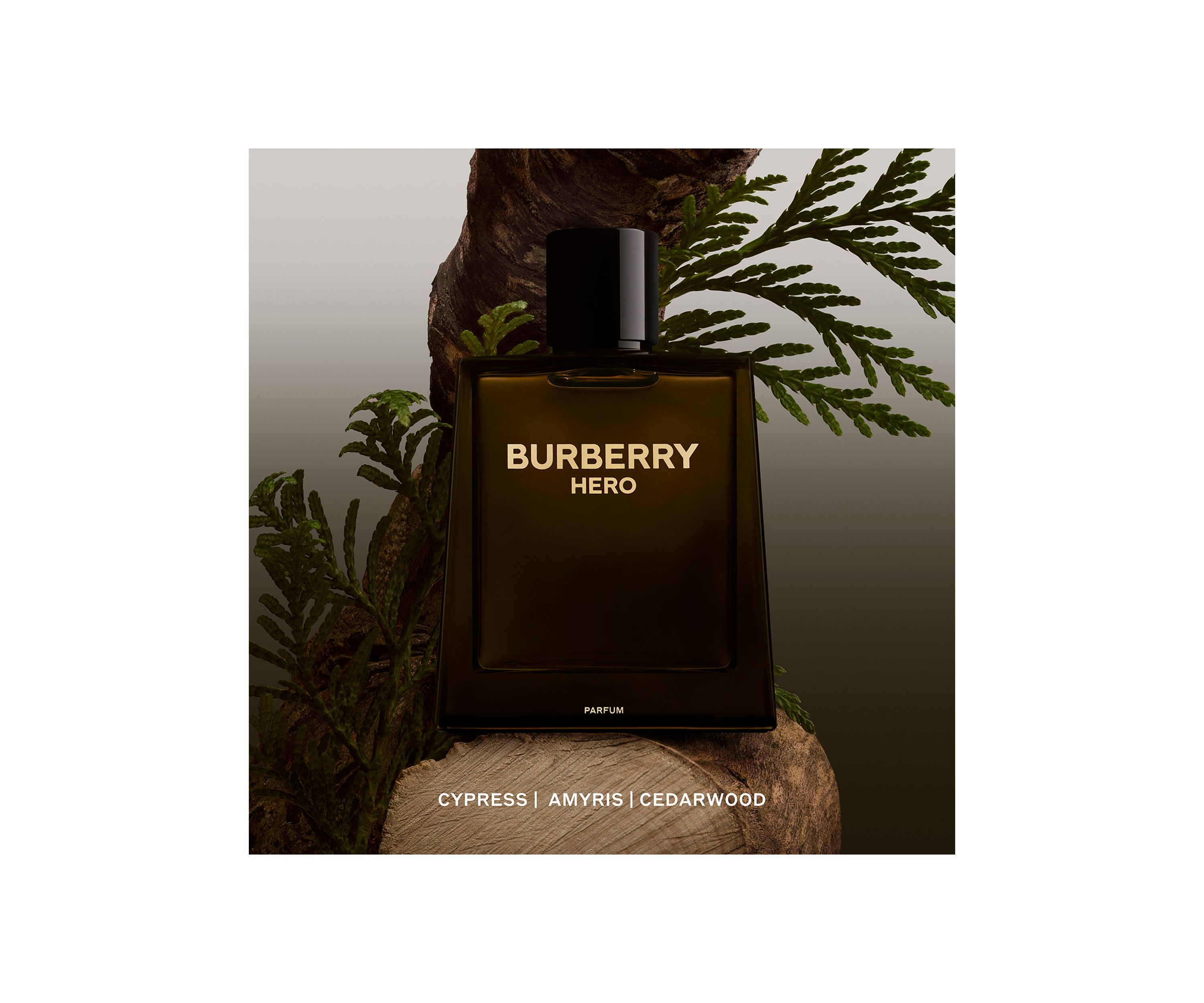Hero Parfum for Men 