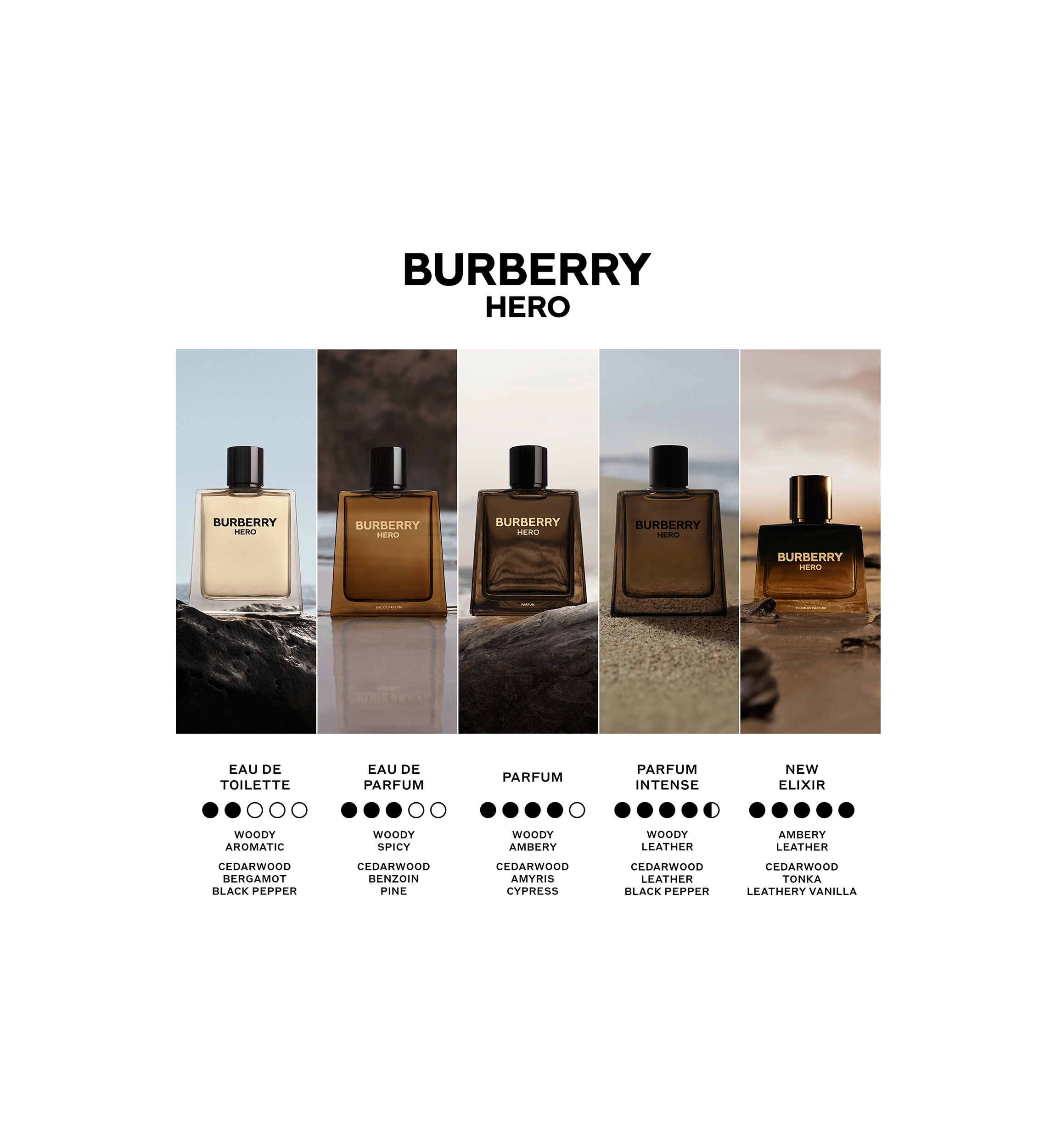 Burberry Hero Parfum for Men | Belk