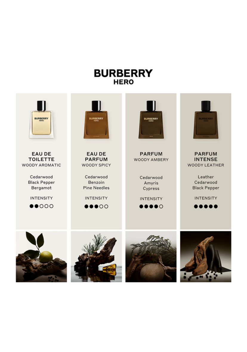 Hero Parfum for Men 