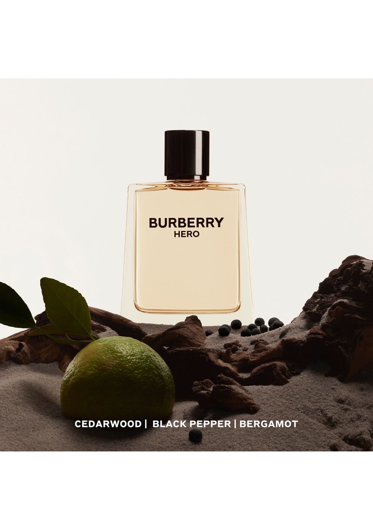 Hero Eau de Toilette for Men 