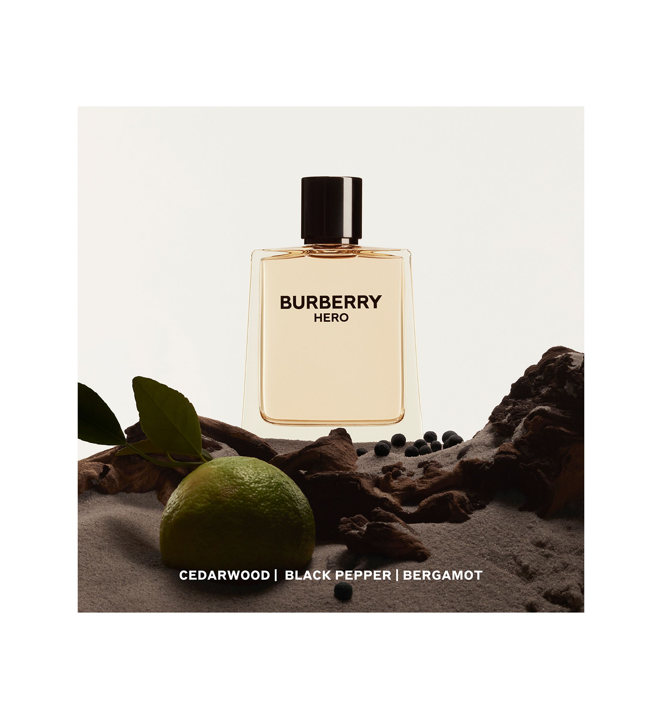 Hero Eau de Toilette for Men 