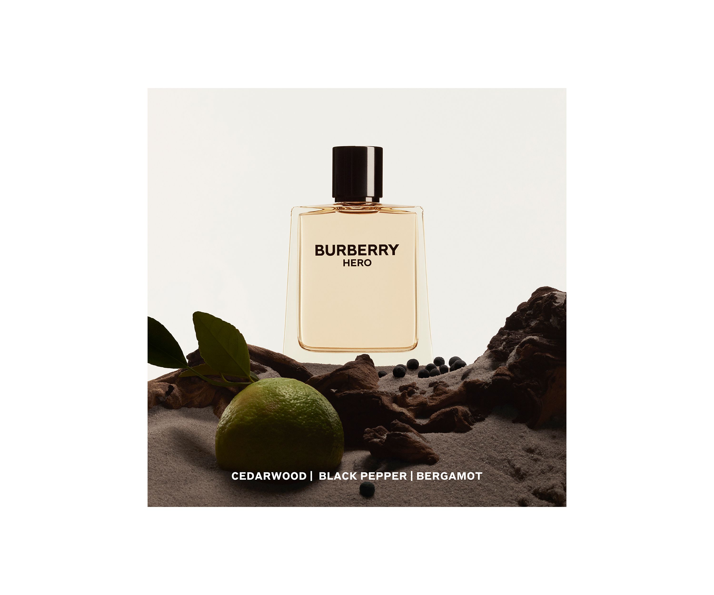 Hero Eau de Toilette for Men 