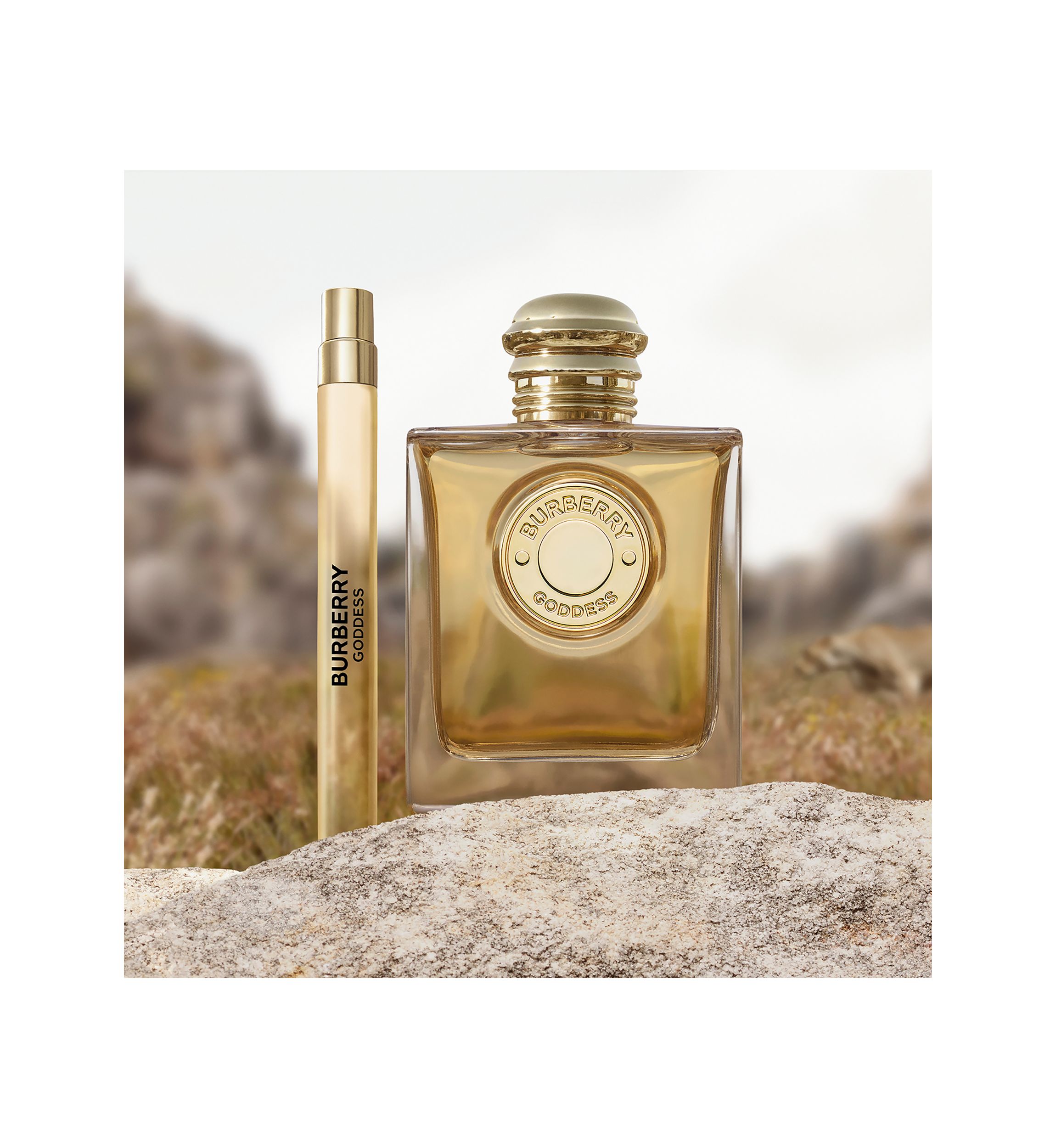 Burberry Goddess Eau de Parfum Intense for Women | Belk