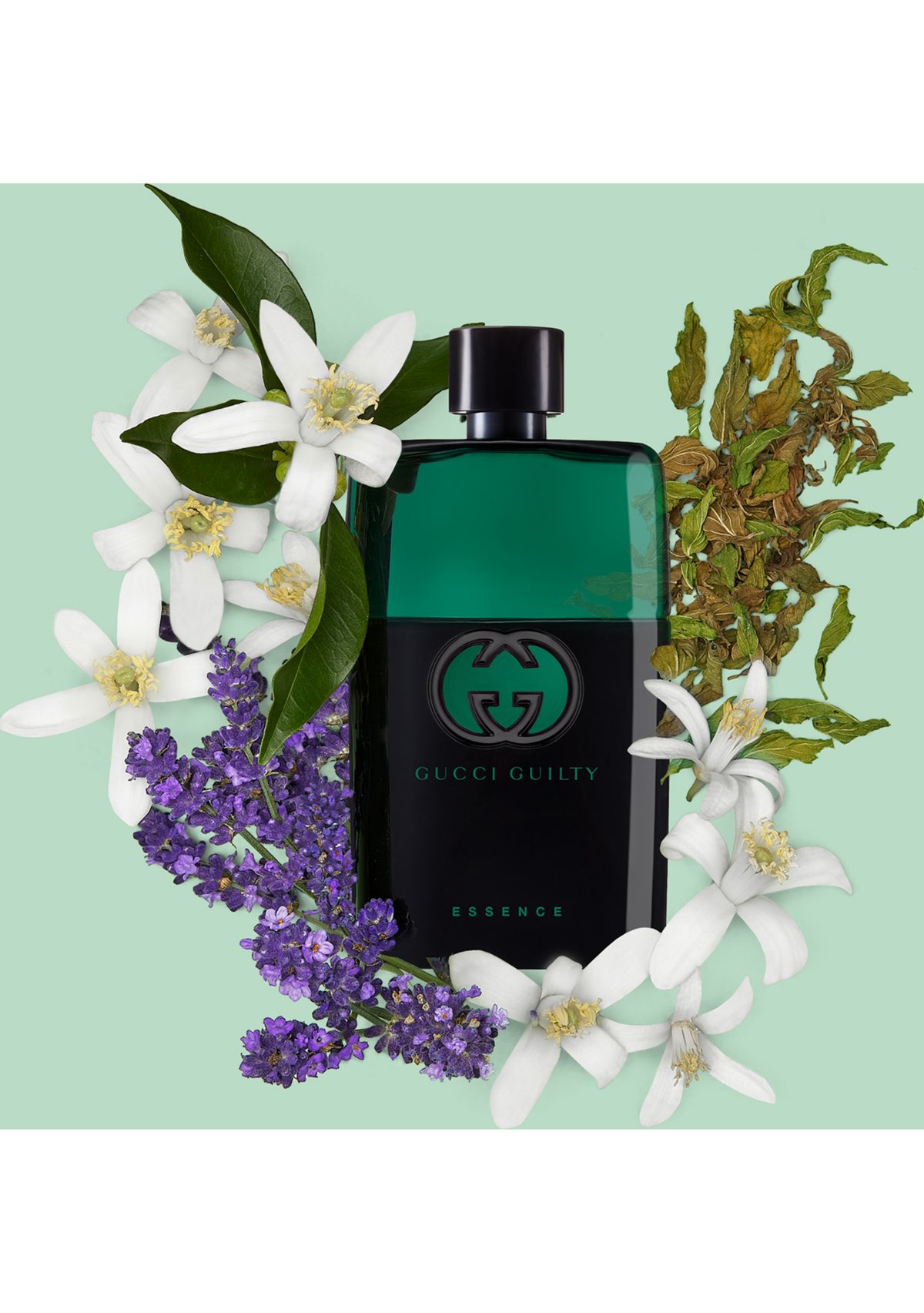 Guilty Essence Pour Homme Eau de Toilette for Men Spray 