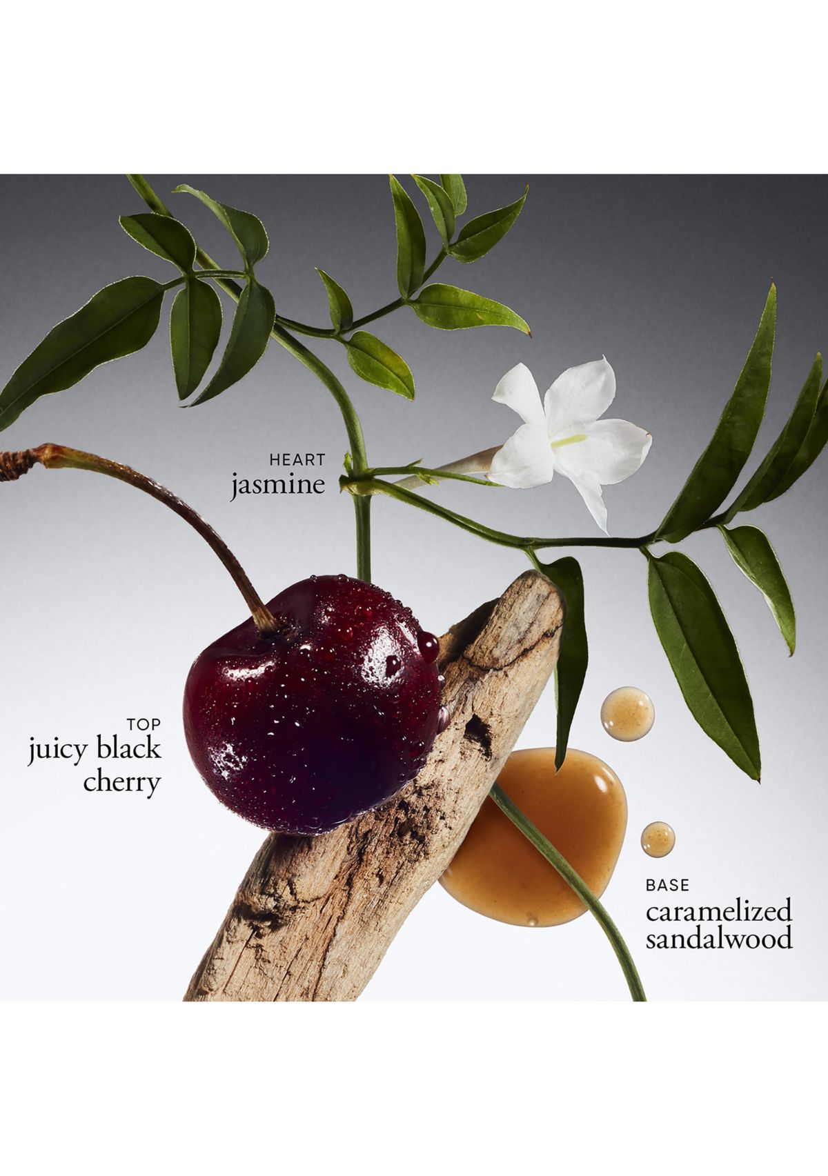 Radiant Grace Whipped Body Crème