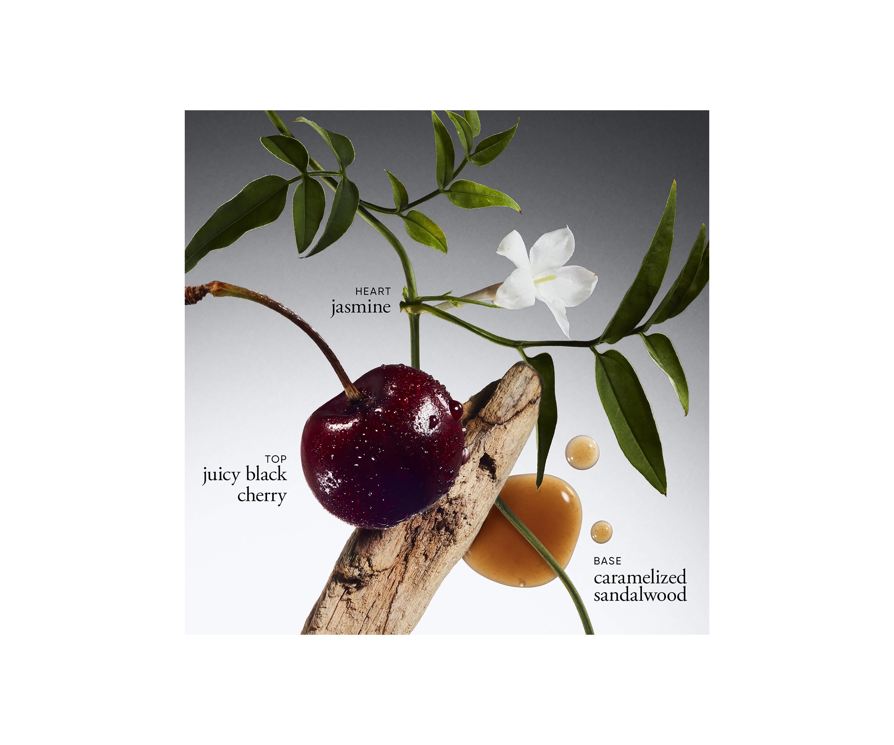 Radiant Grace Whipped Body Crème