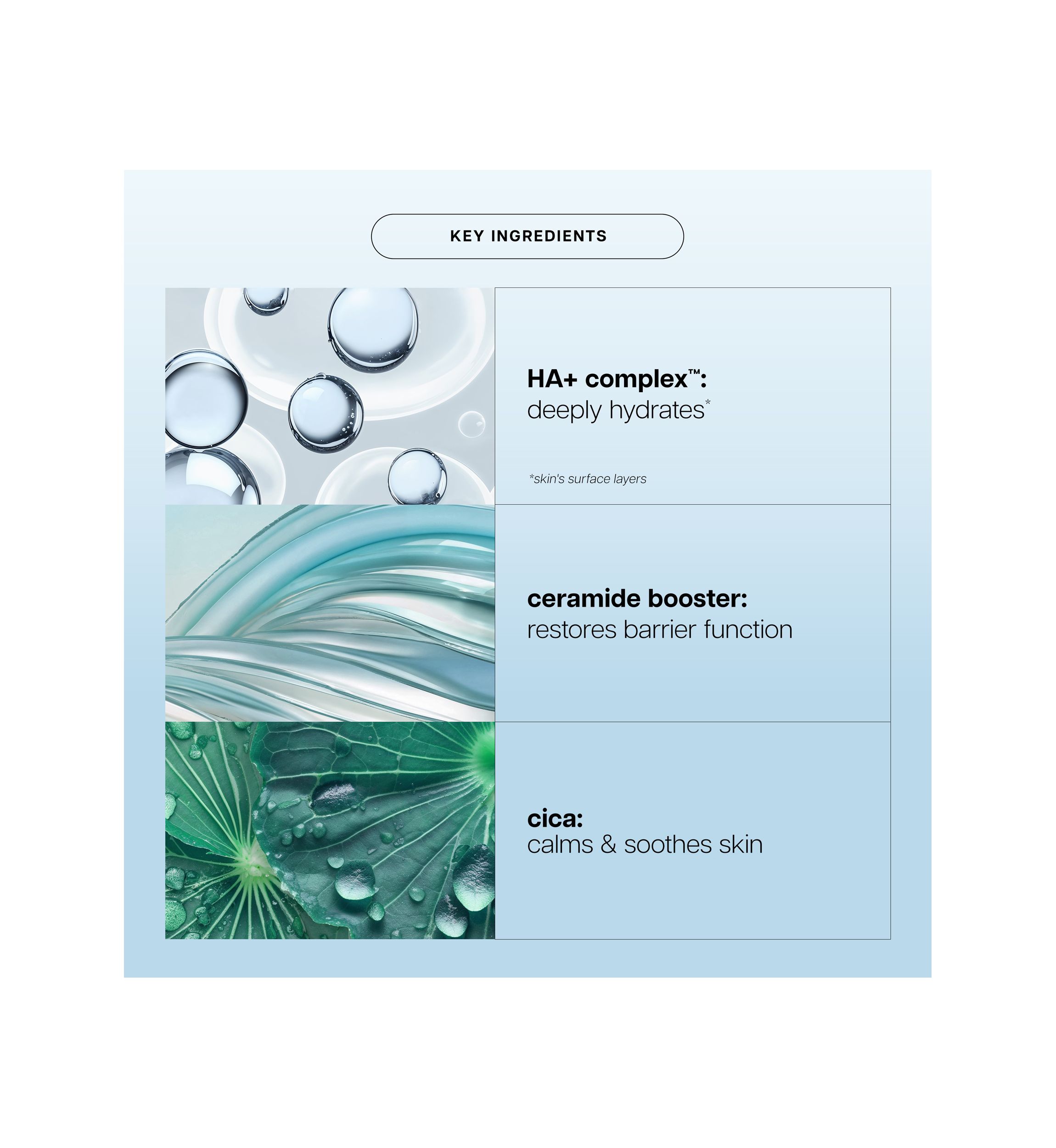Hope in a Jar Barrier Restore Cream