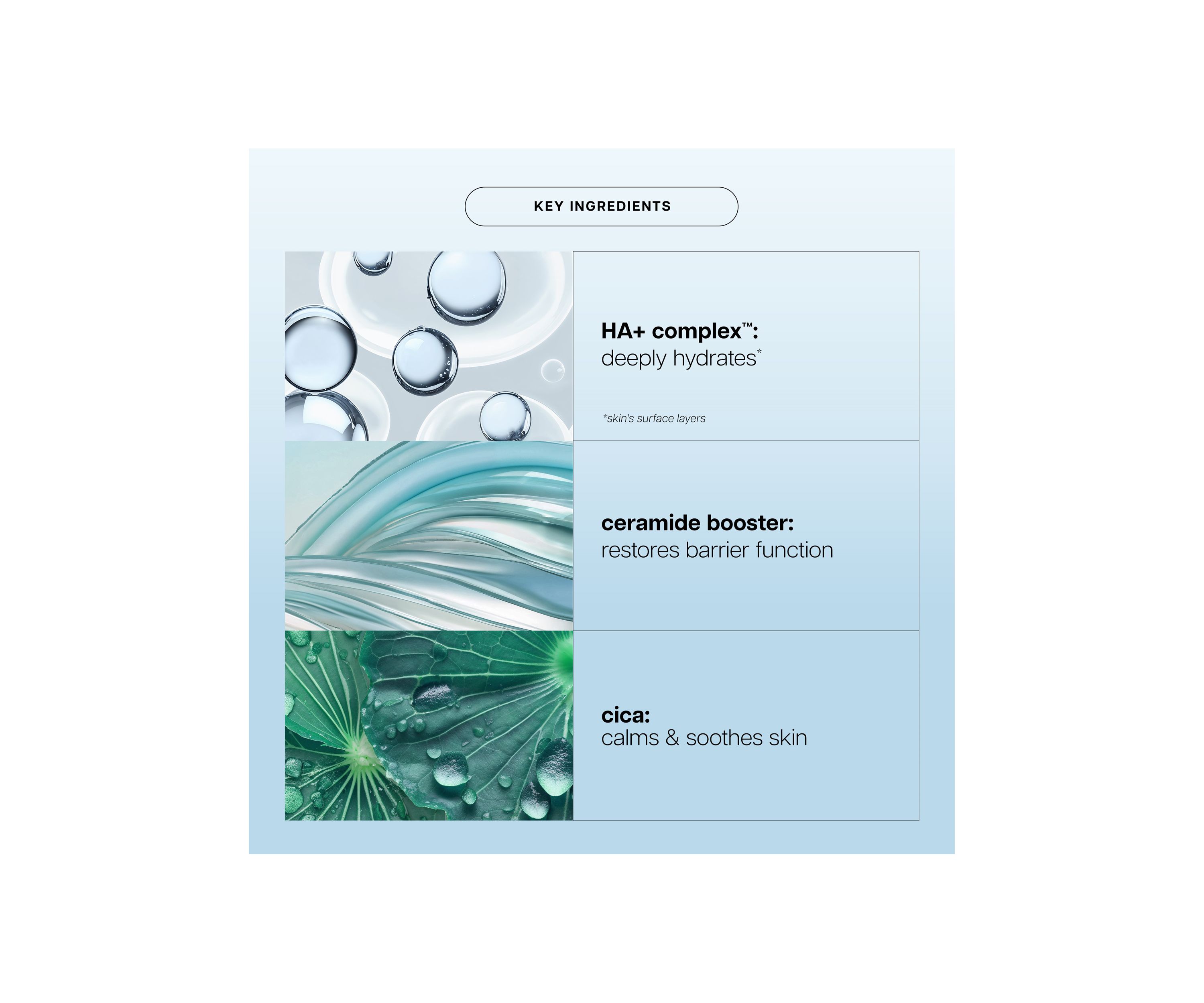 Hope in a Jar Barrier Restore Cream