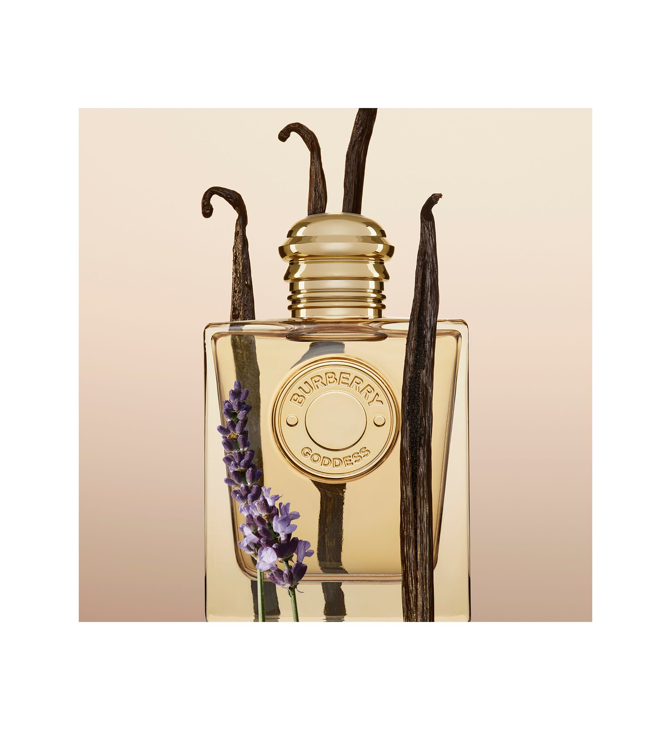 Womens 3-Piece Goddess Eau de Parfum Gift Set - $231 Value!
