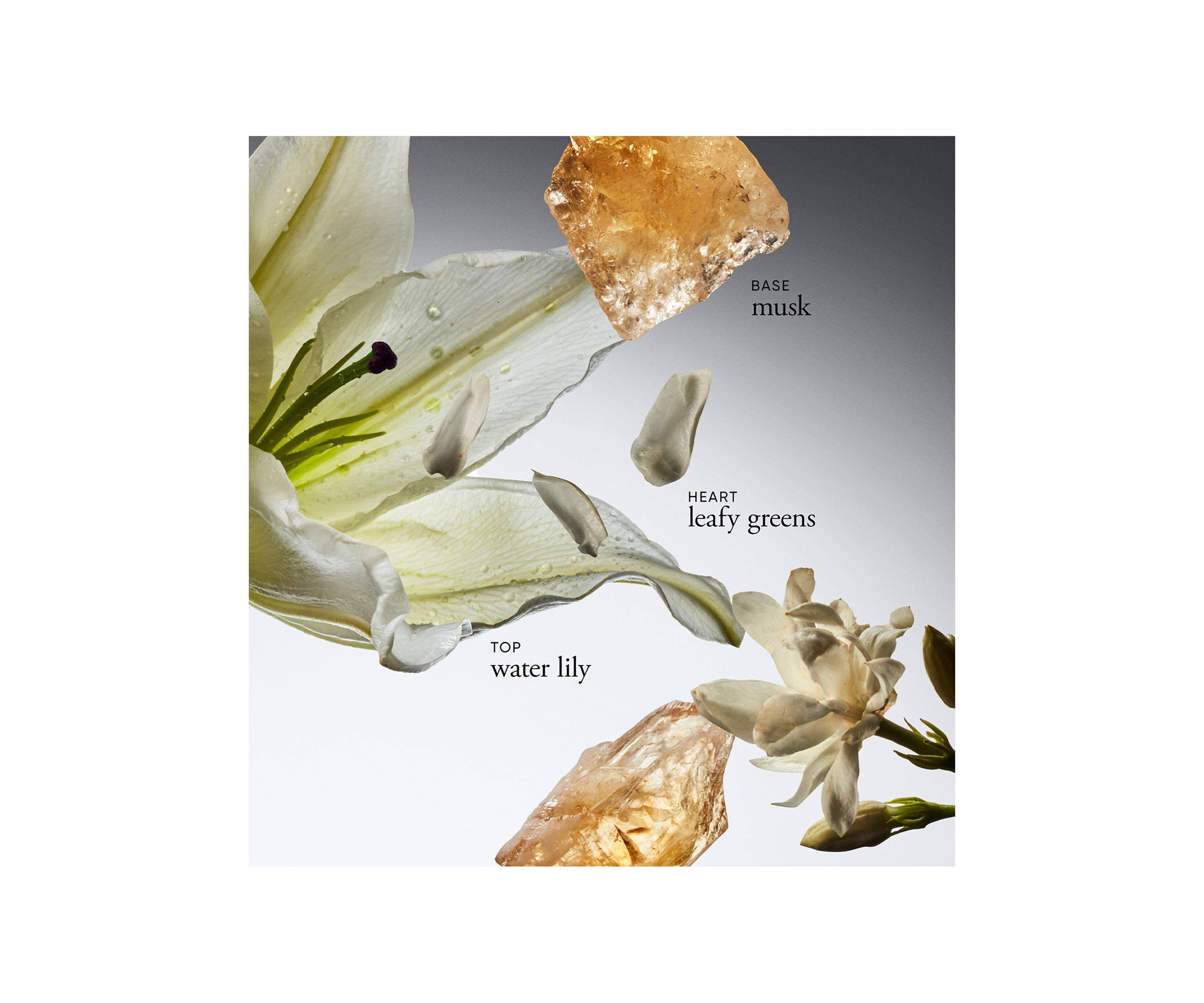 Pure Grace Body Lotion 