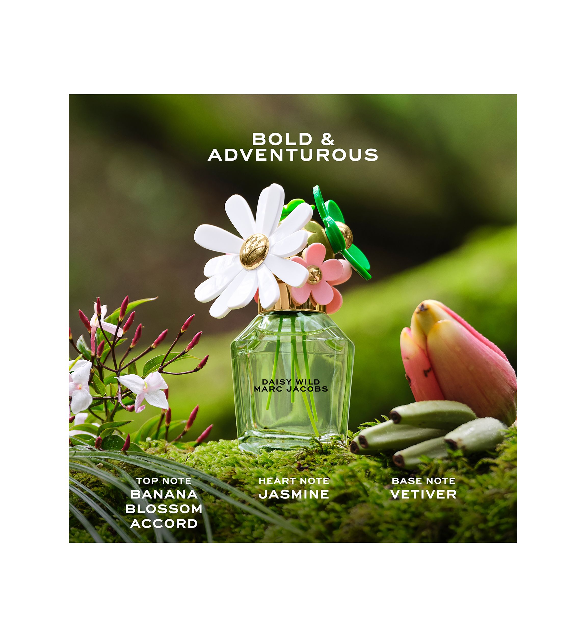 Womens 3-Piece Daisy Wild Gift Set