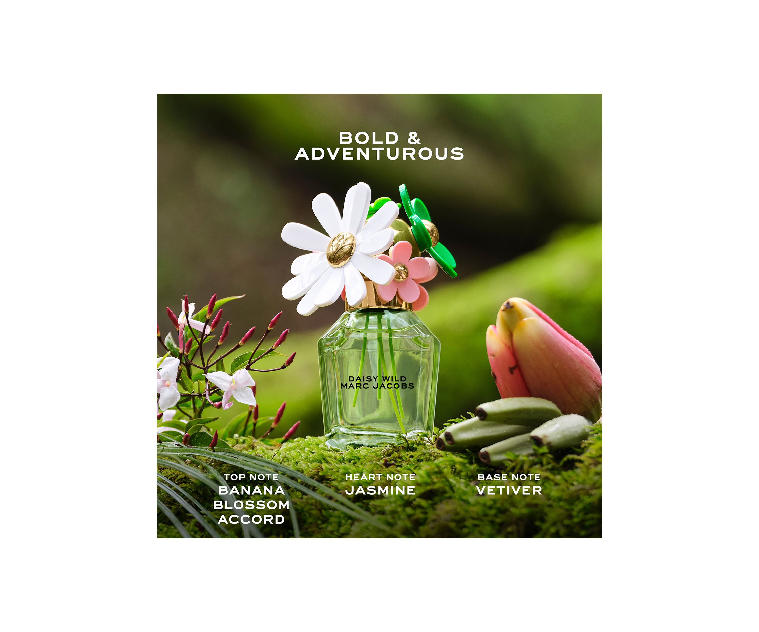 Womens 3-Piece Daisy Wild Gift Set