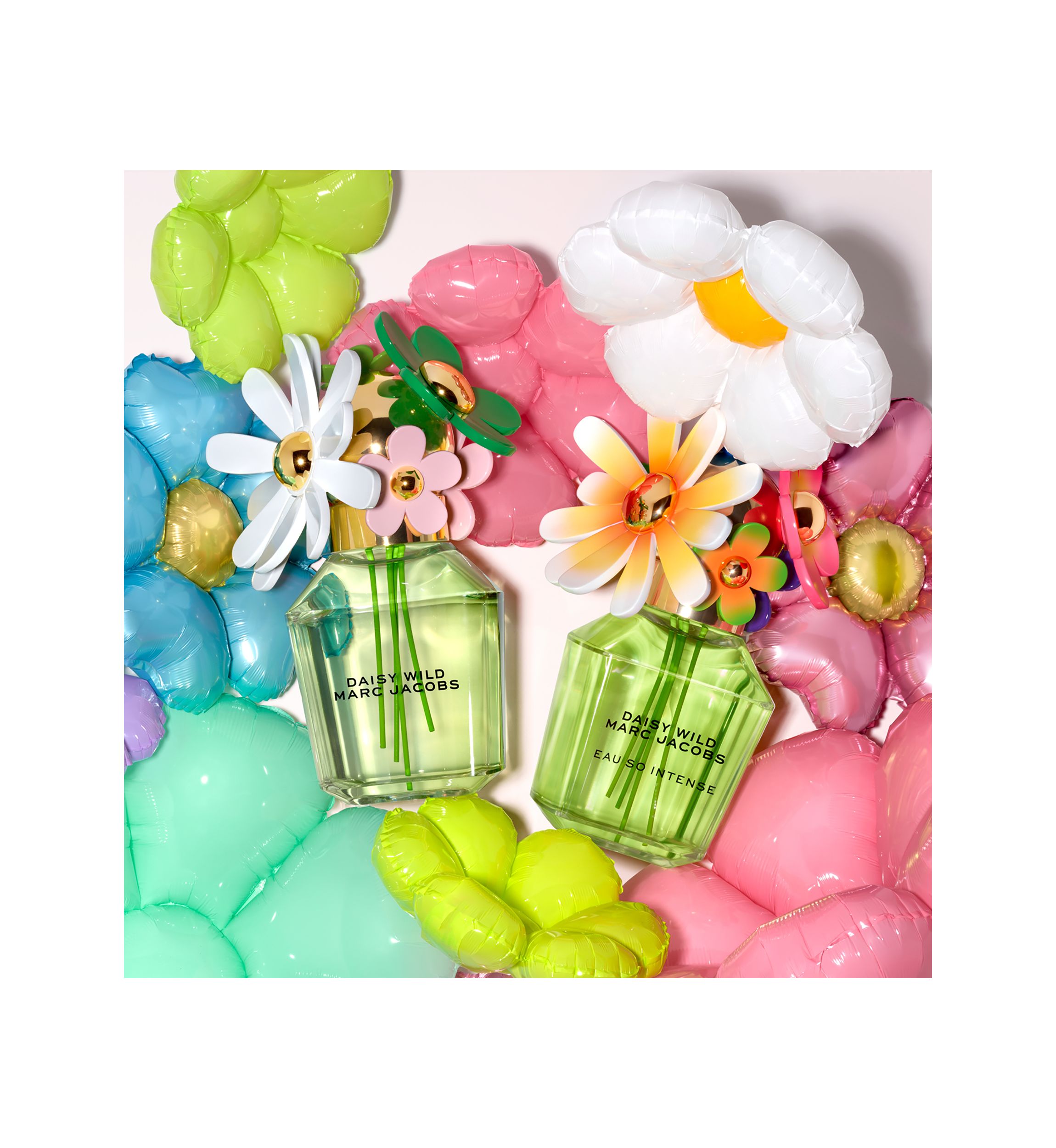 Womens 3-Piece Daisy Wild Gift Set