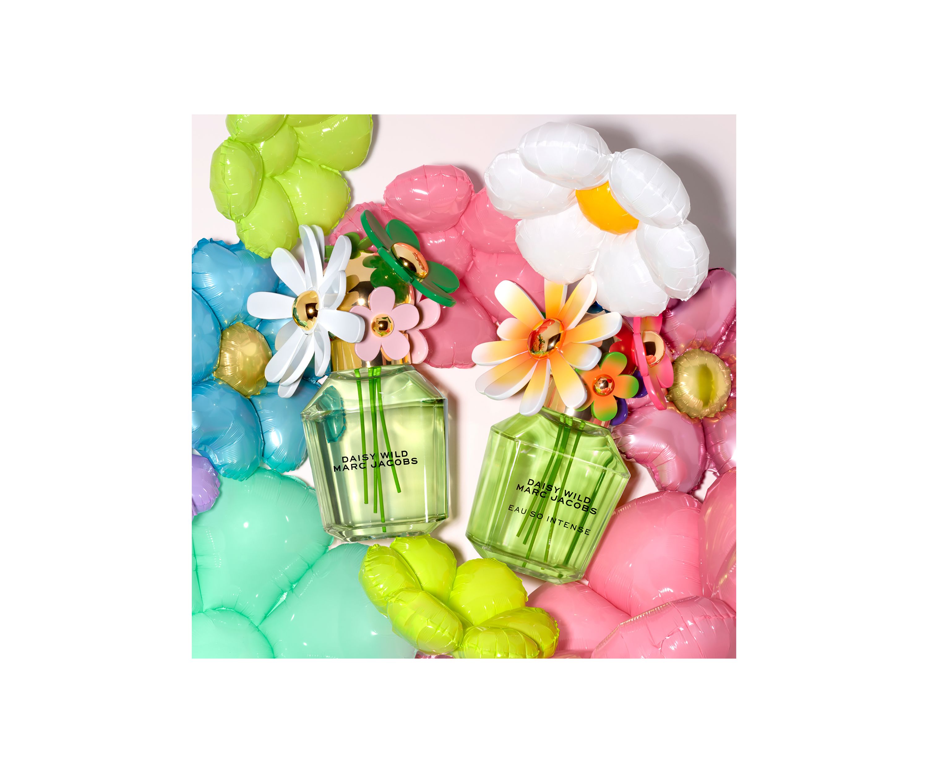 Womens 3-Piece Daisy Wild Gift Set