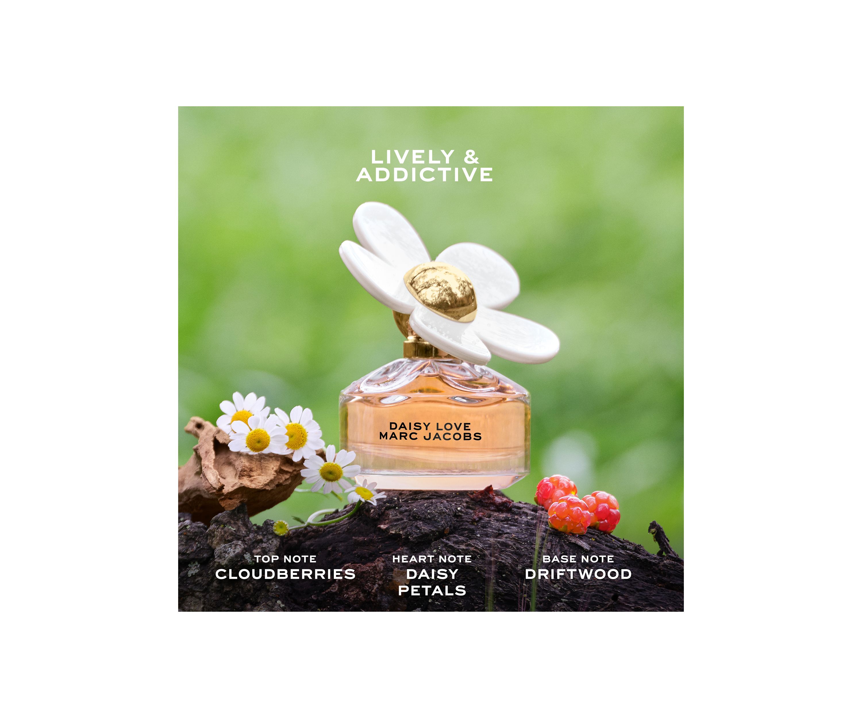 Daisy Love Eau de Toilette for Women Trio Gift Set - $206 Value!