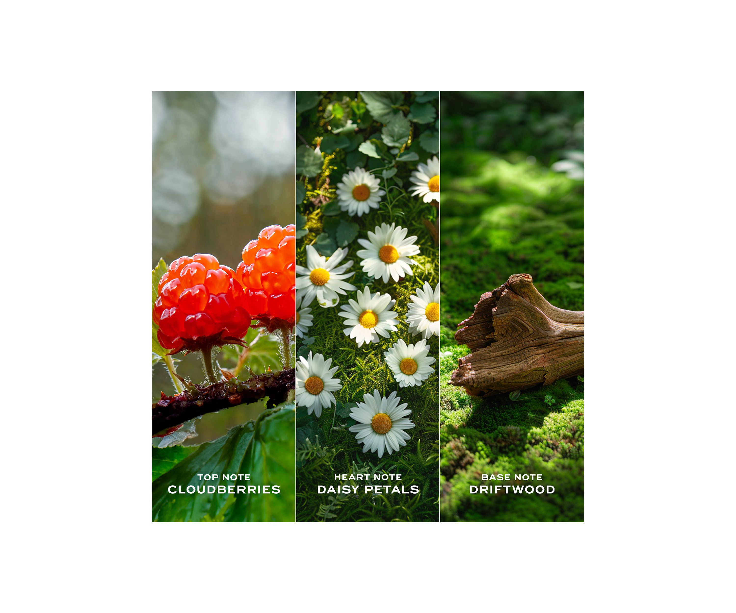 Daisy Love Eau de Toilette for Women Trio Gift Set - $206 Value!