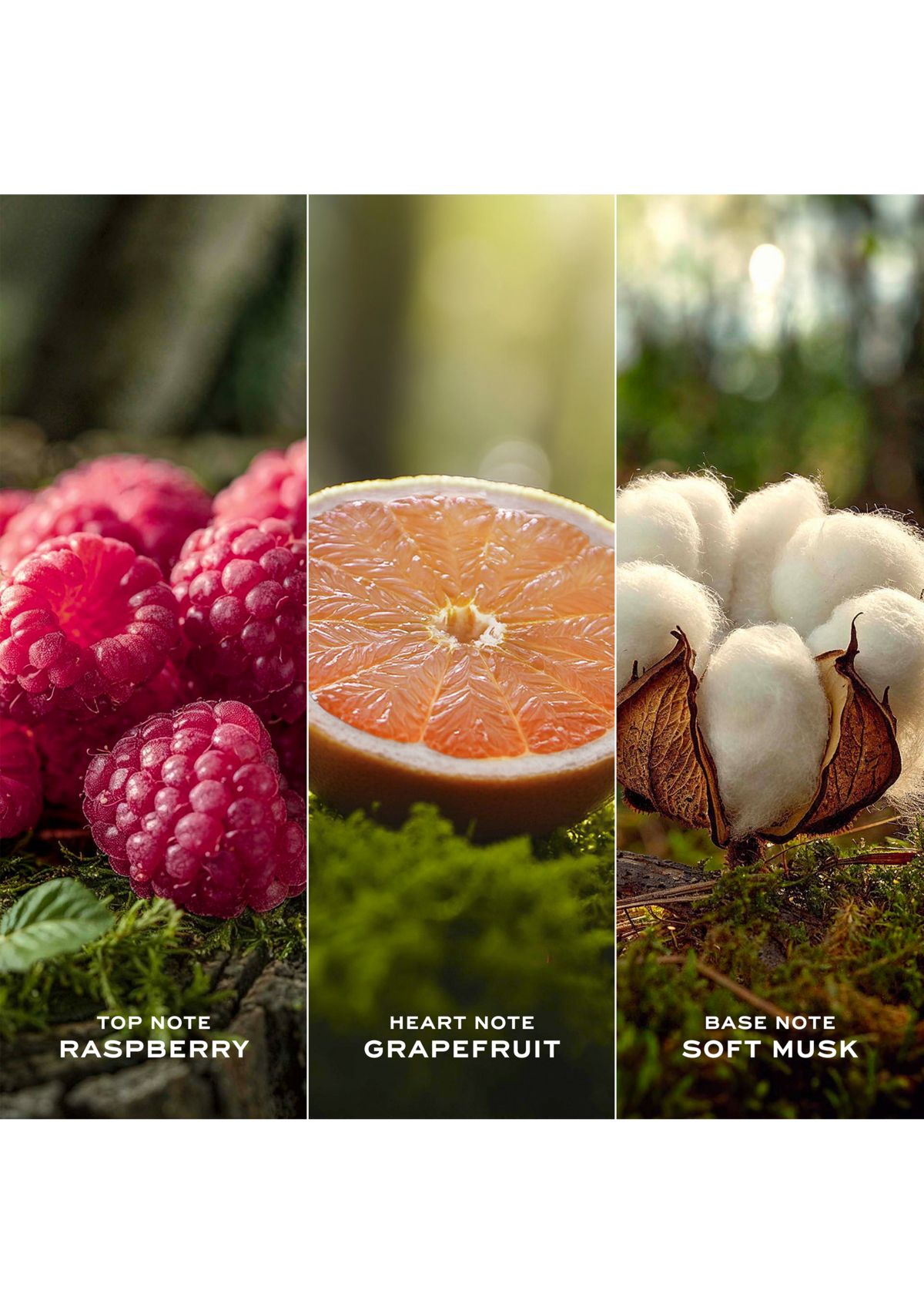 Daisy Eau So Fresh Eau de Toilette for Women Trio Gift Set - $224 Value!