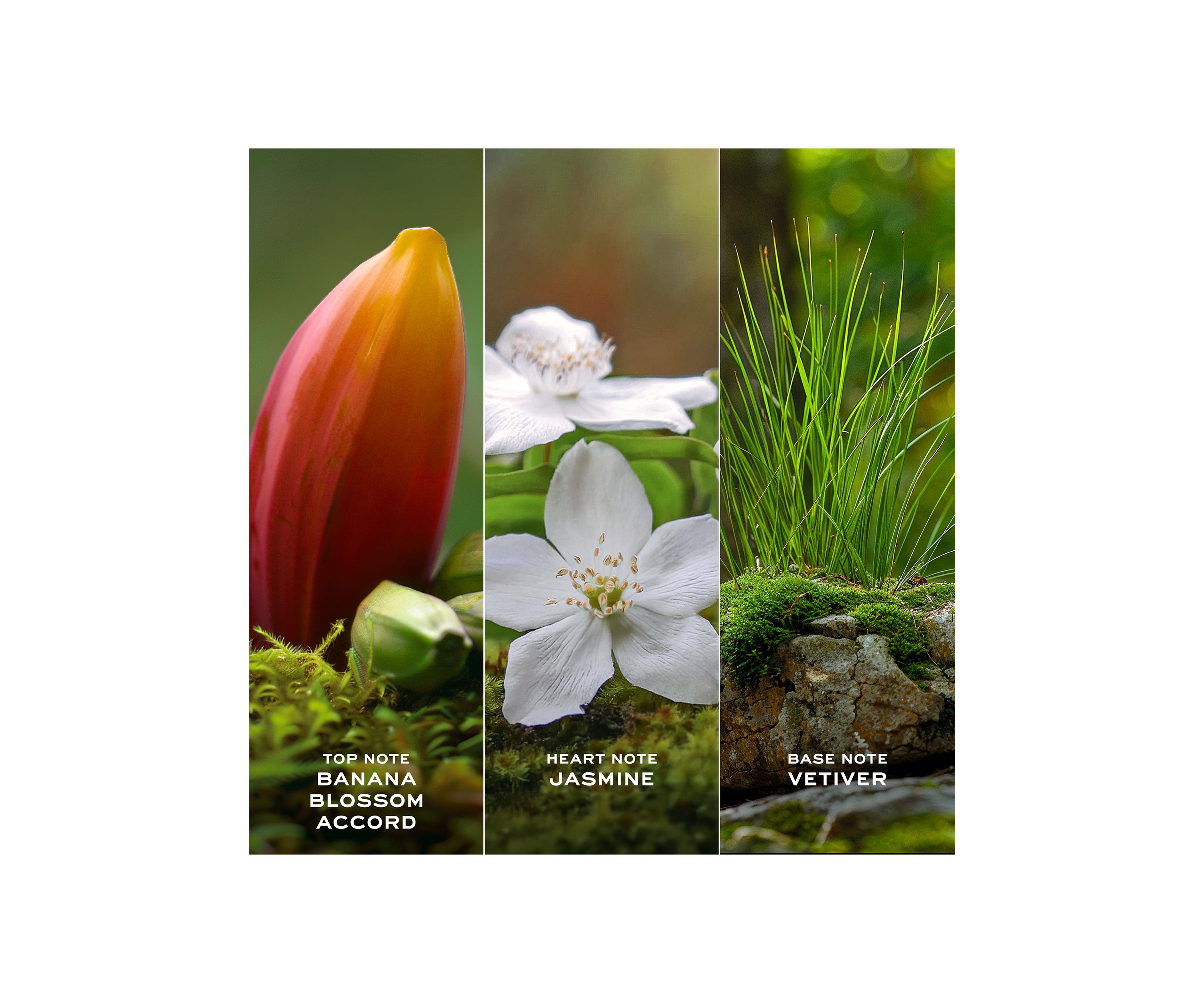 Daisy Wild Eau de Parfum for Women Trio Gift Set - $229 Value!