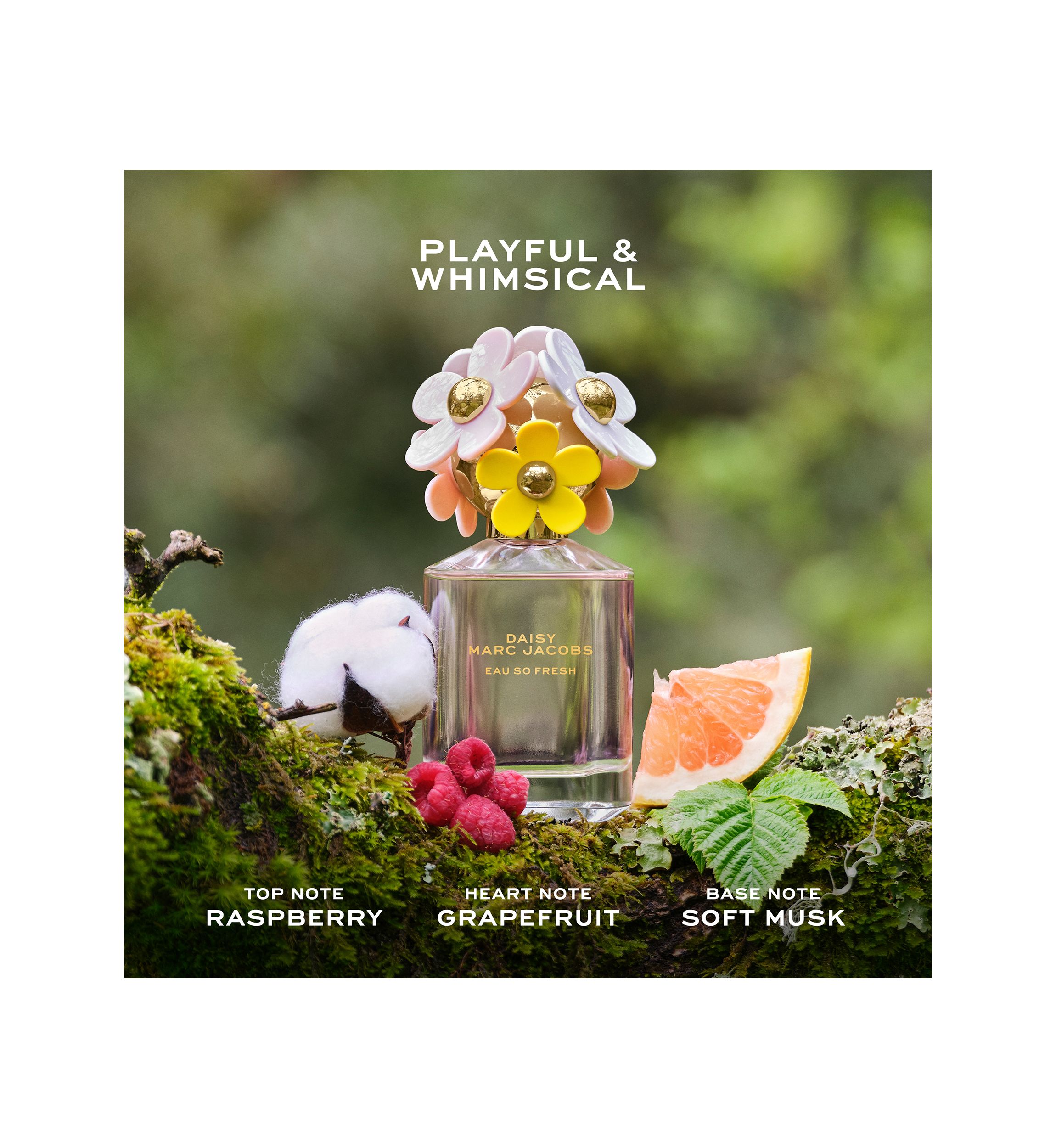 4-Piece Daisy Gift Set