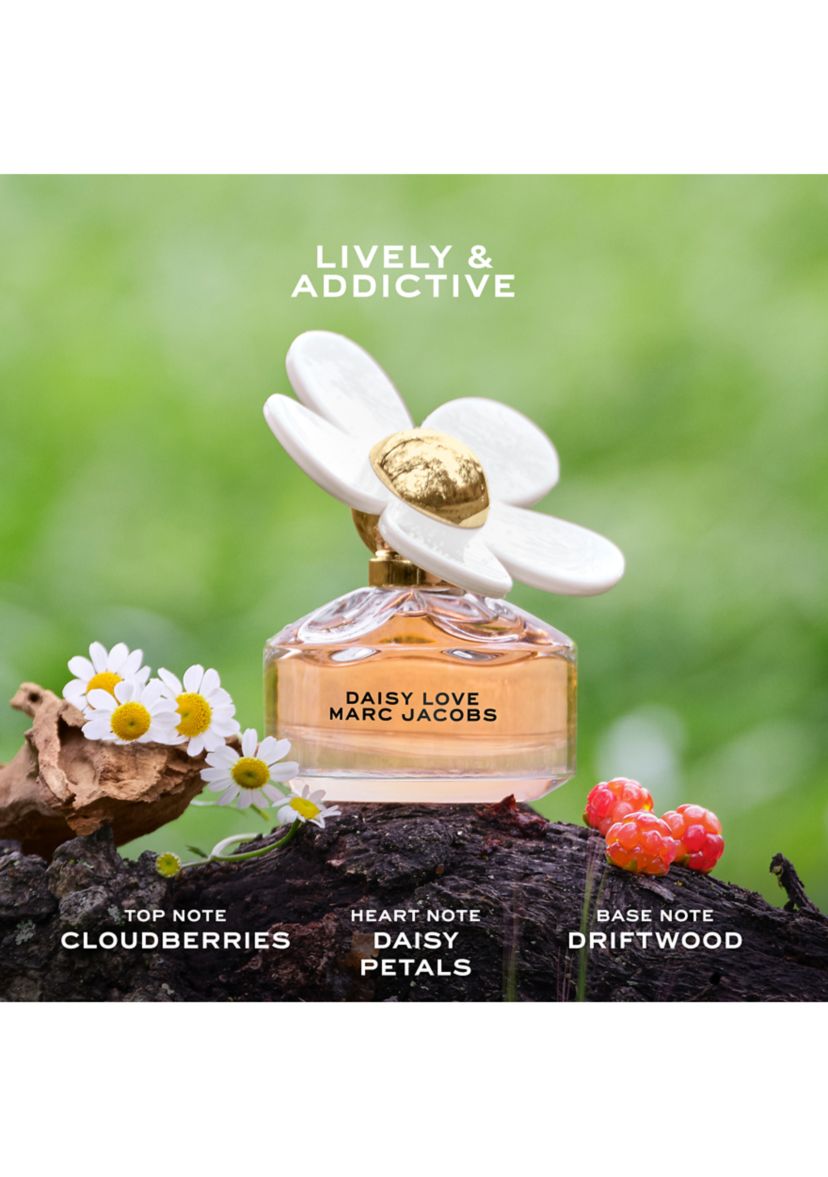 4-Piece Daisy Gift Set