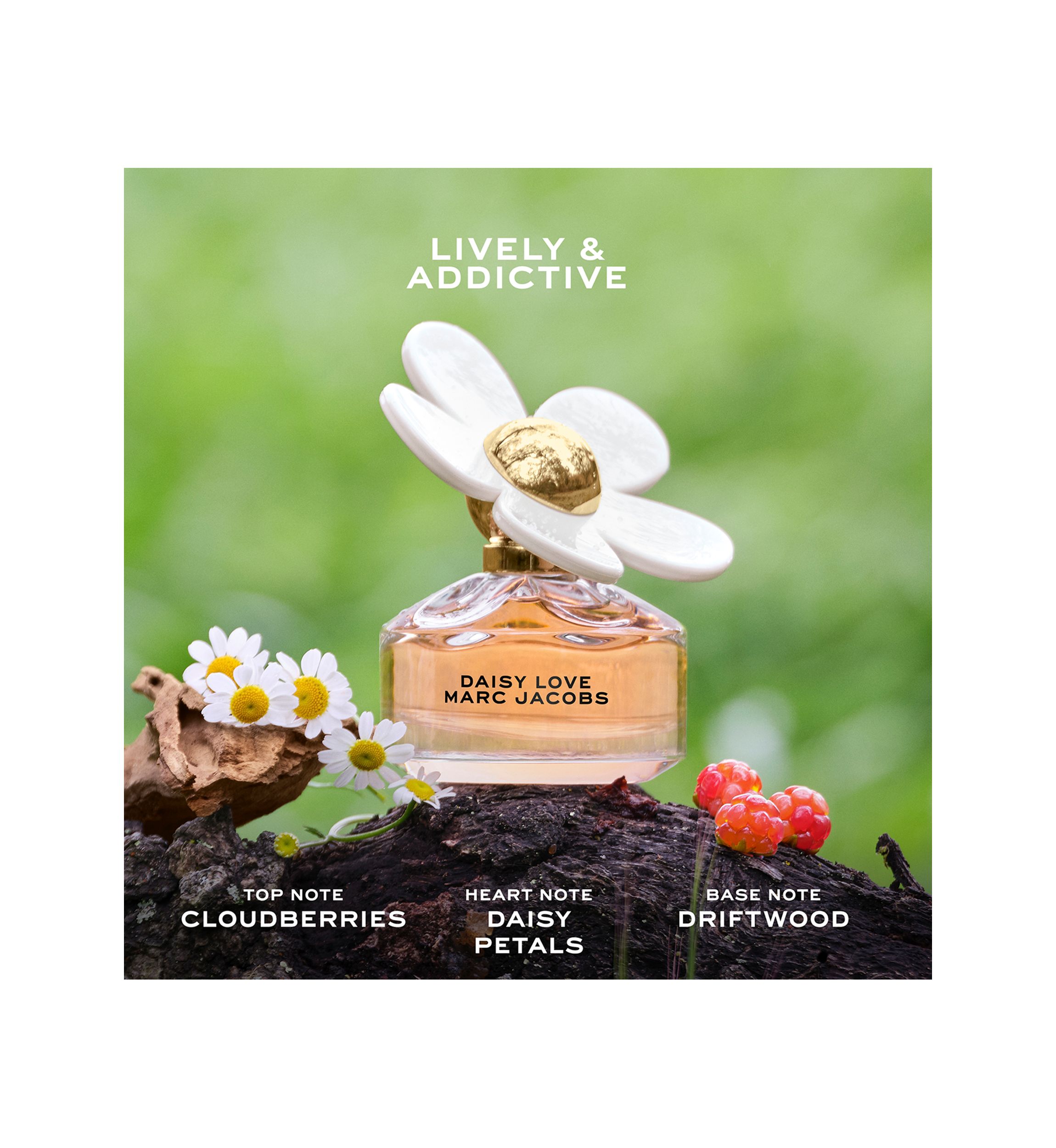 Marc Jacobs Daisy Love Eau de Toilette for Women Trio Gift Set | Belk