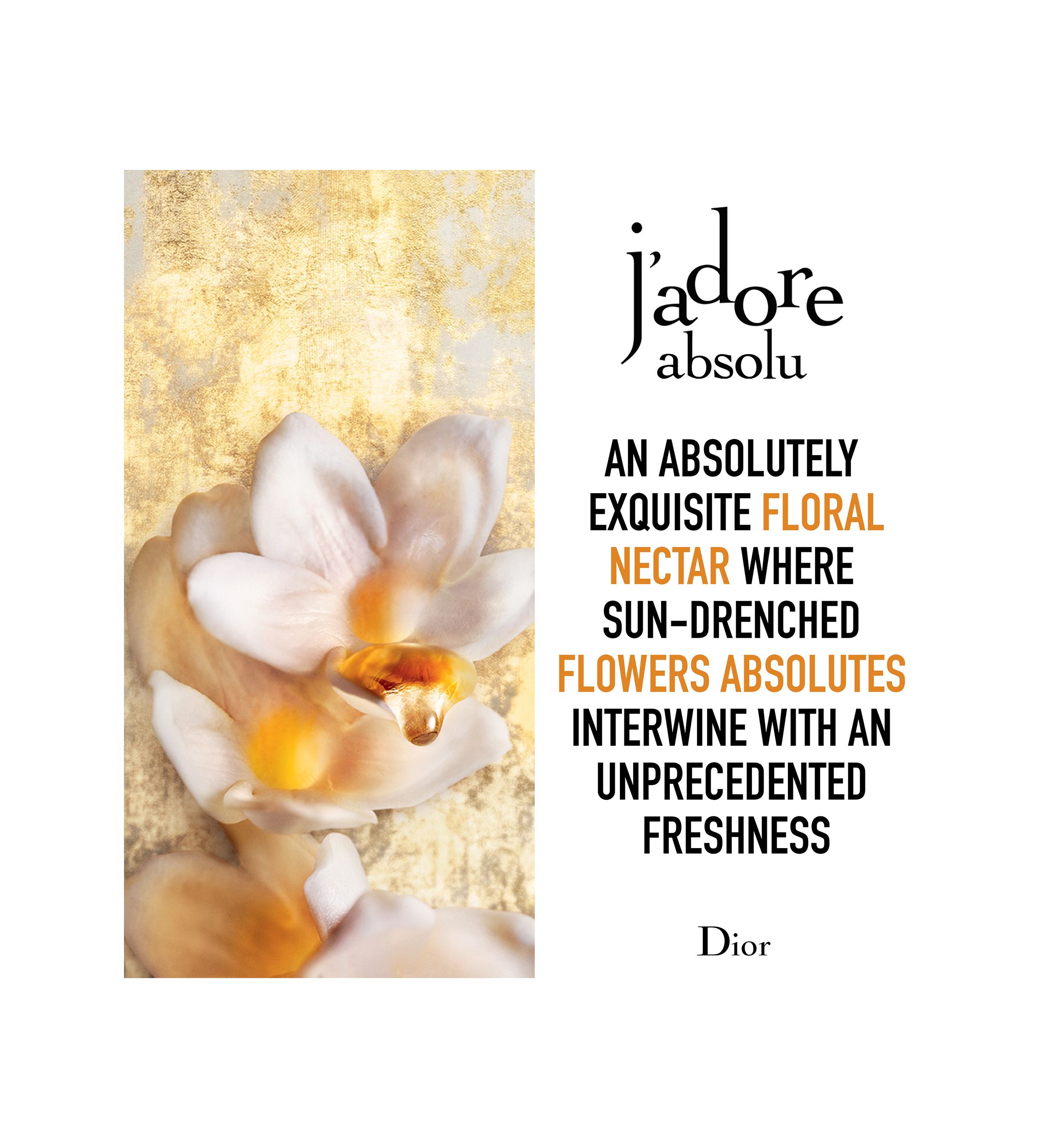Dior J'adore Absolu 75 ML Spray | Belk