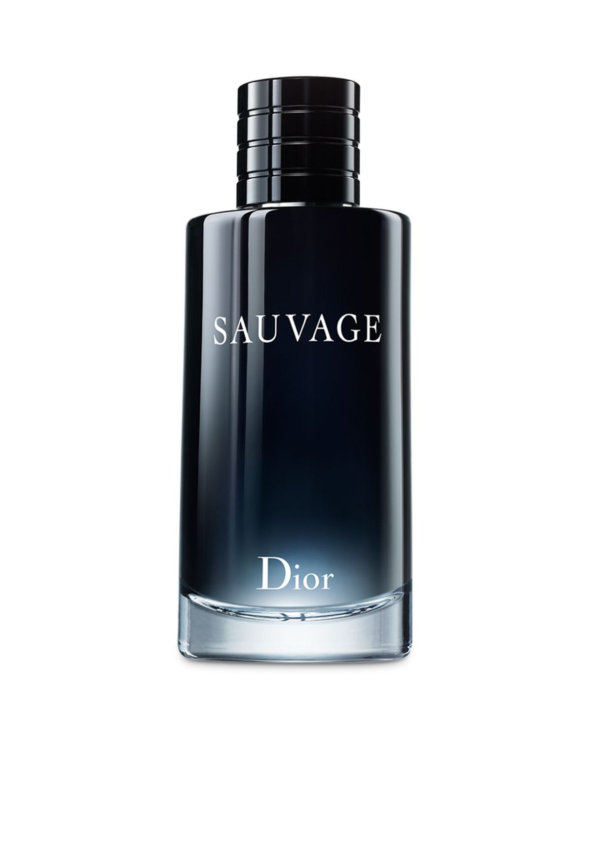 Sauvage Spray