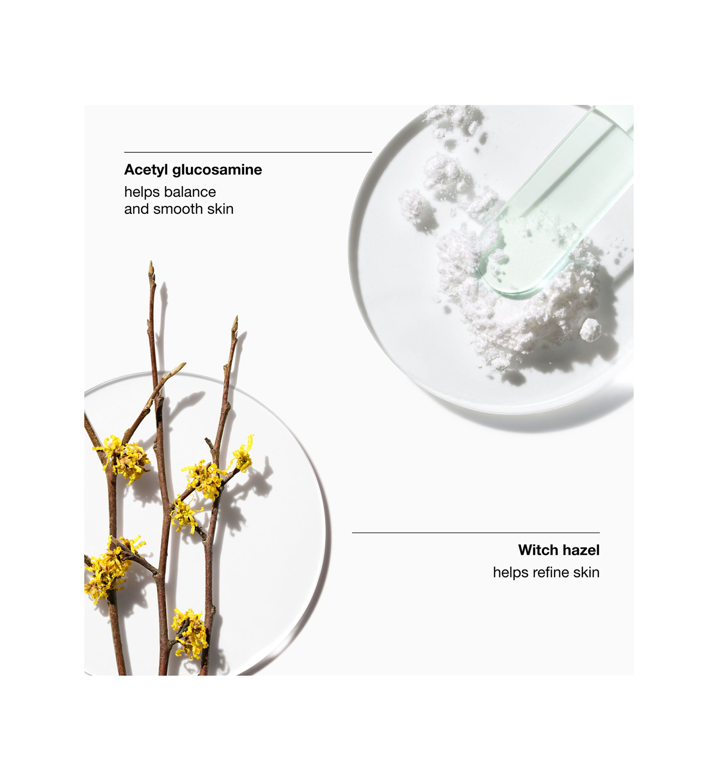 Clarifying Lotion 2