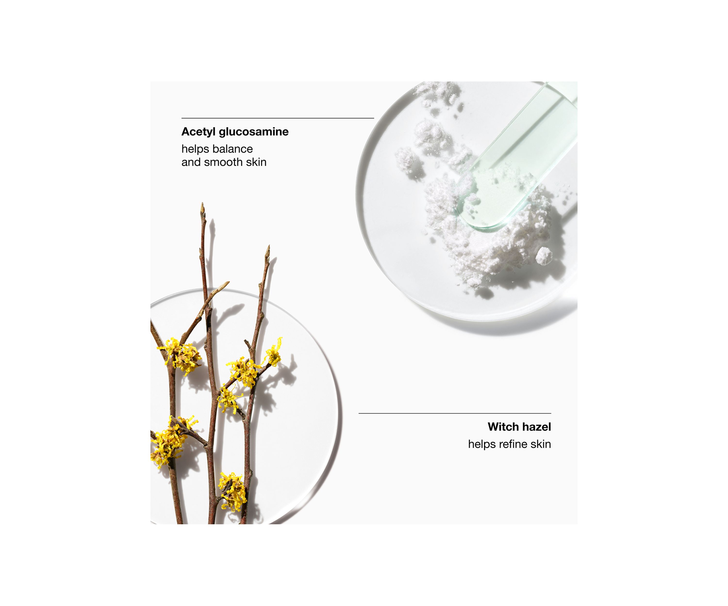 Clarifying Lotion 2