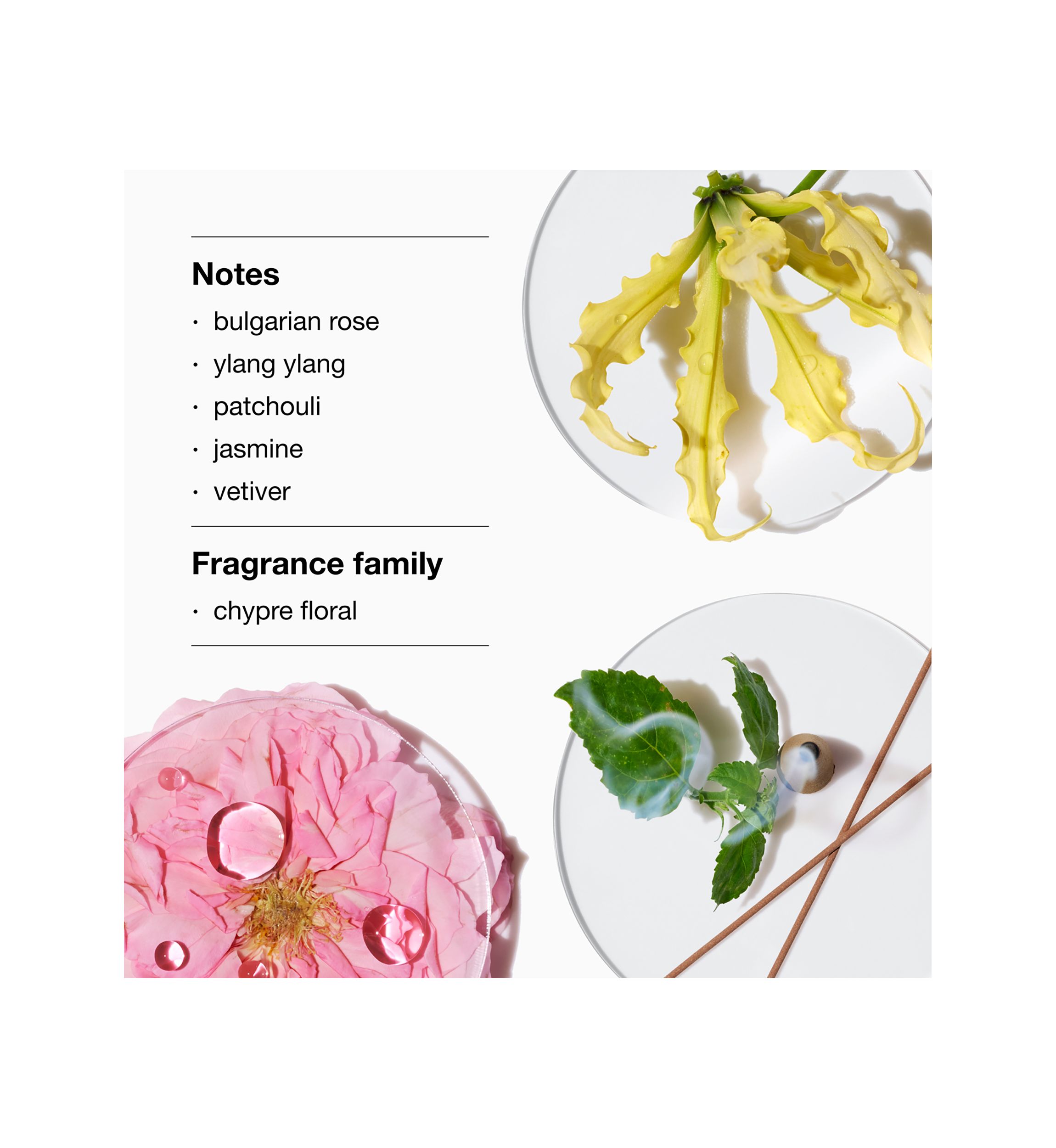 Aromatics Elixir™ Eau de Parfum Spray