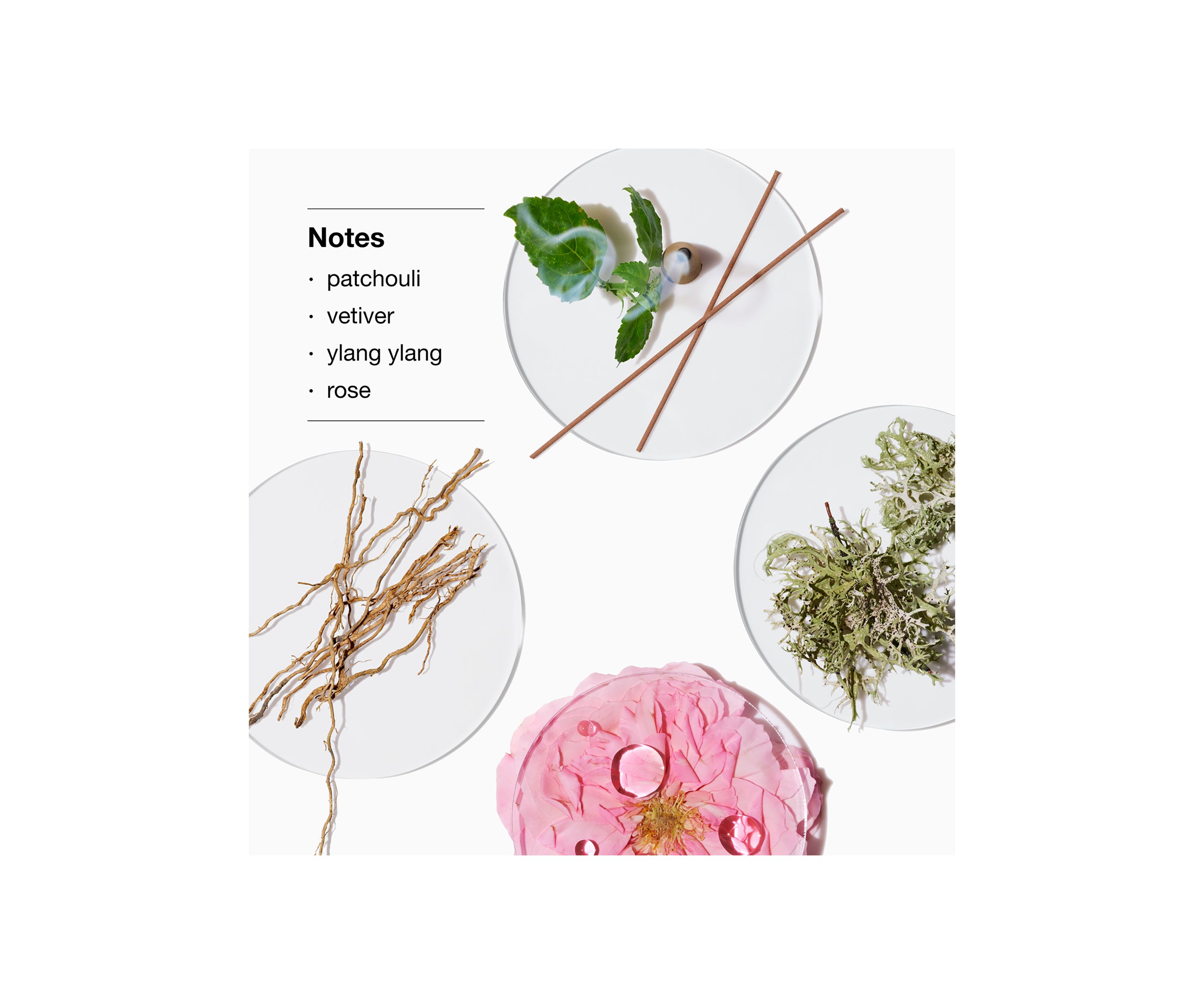 Aromatics Elixir™ Body Wash