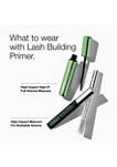 Lash Building Primer      
