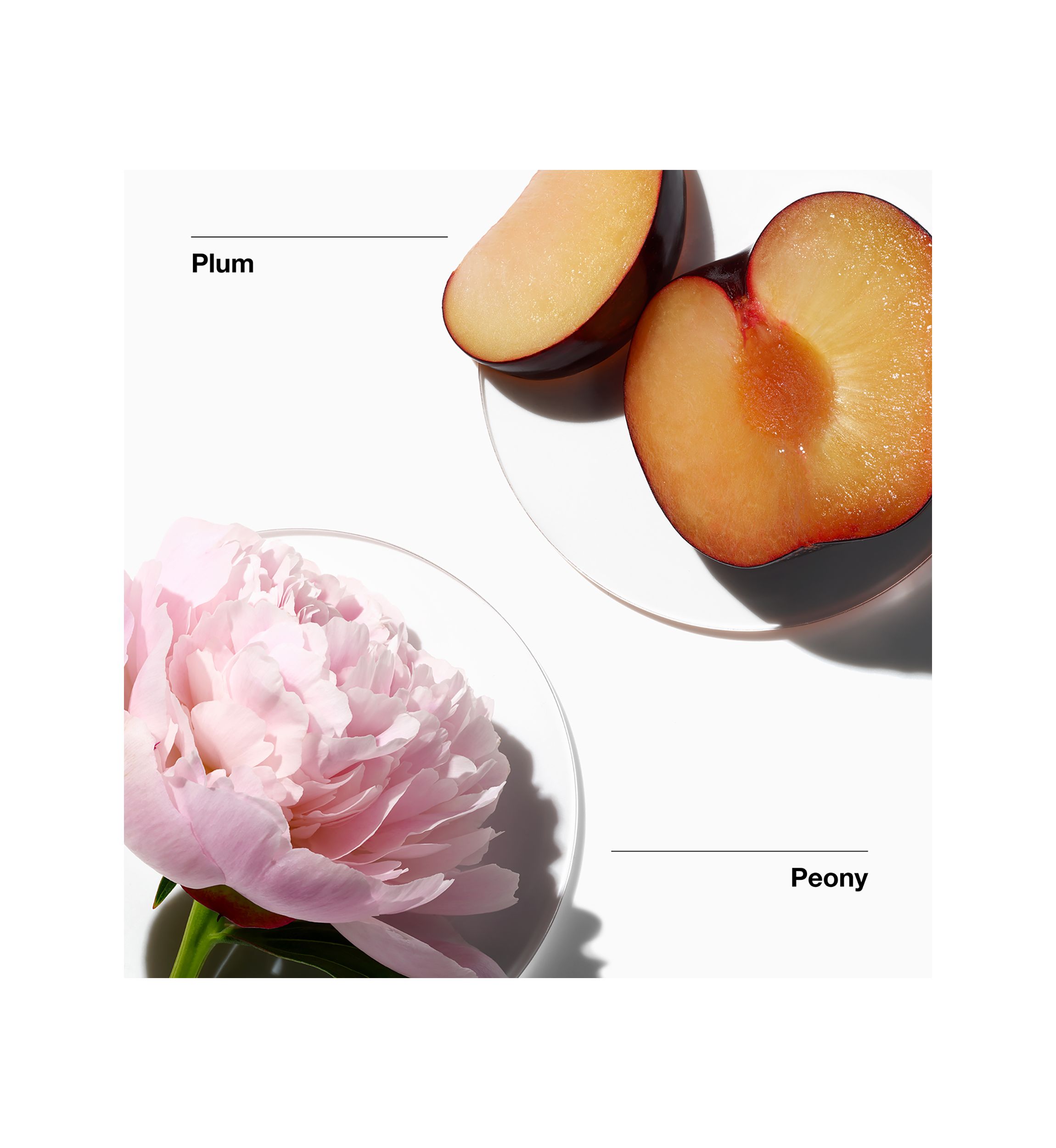 My Happy™ Peony Picnic Perfume Spray