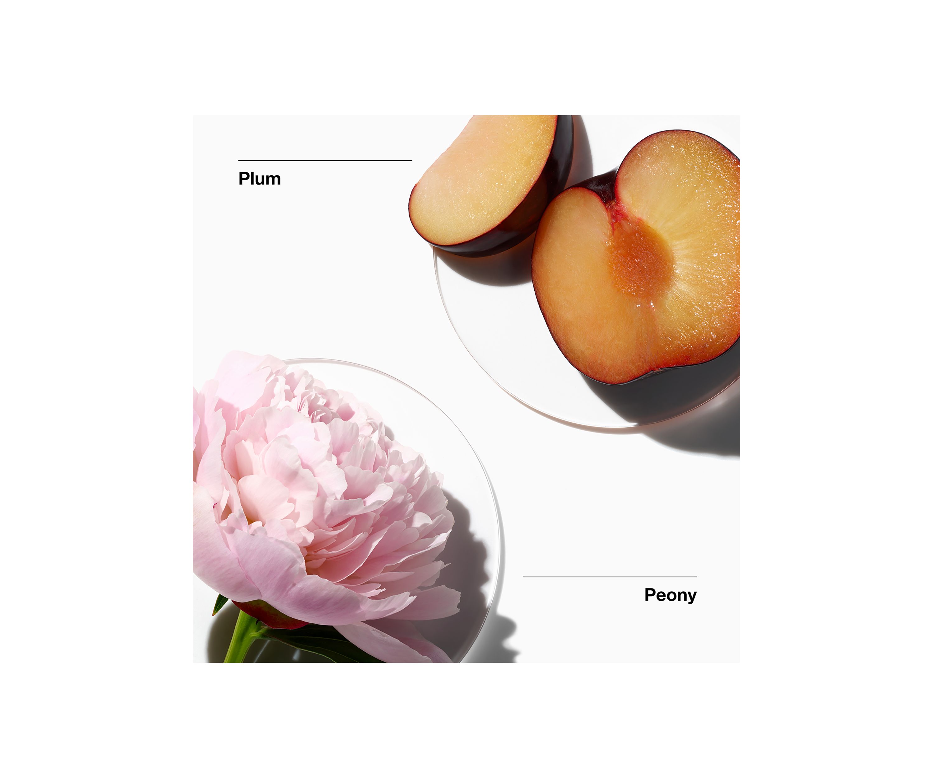 My Happy™ Peony Picnic Perfume Spray