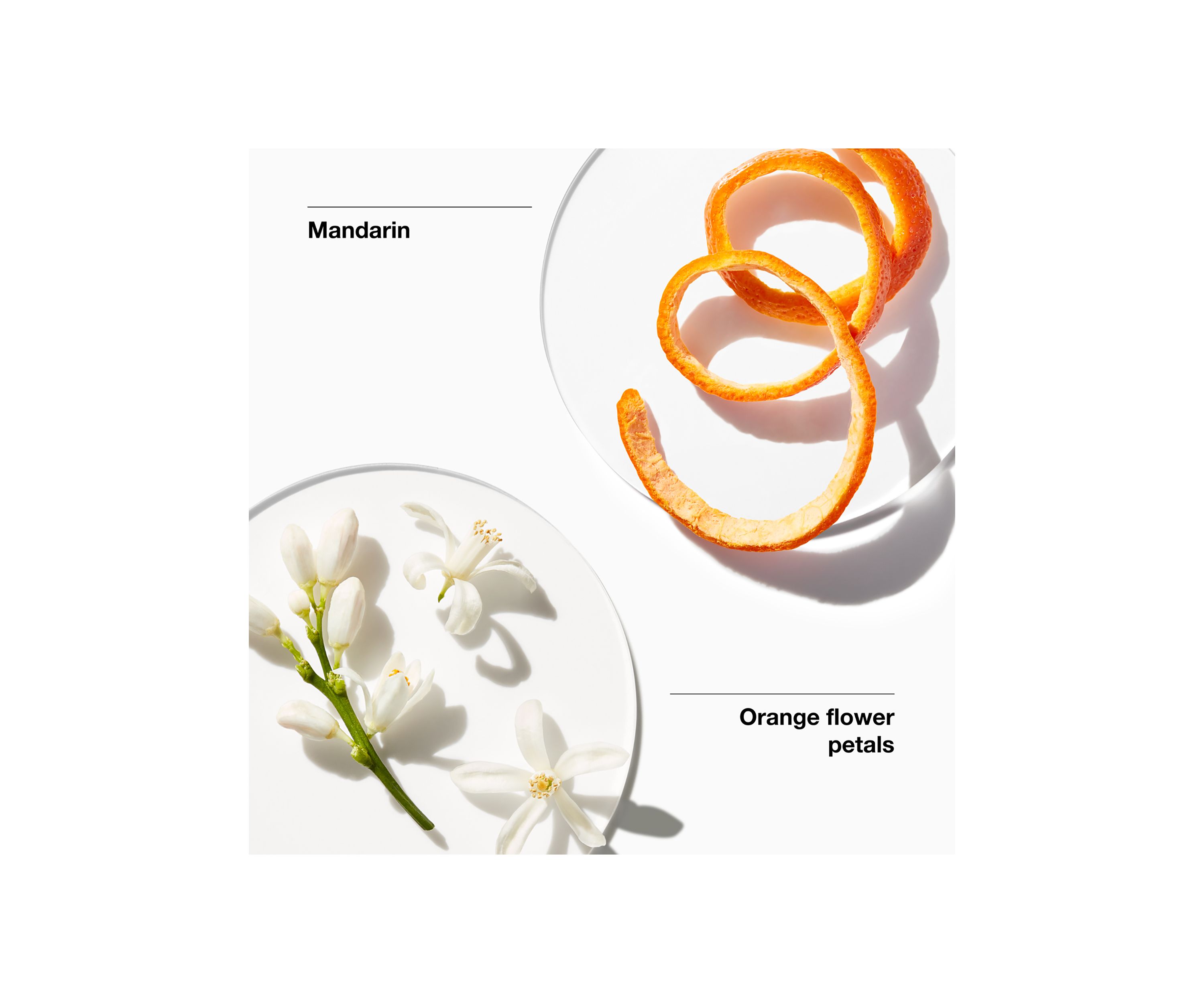 My Happy™ Baby Bouquet Perfume Spray