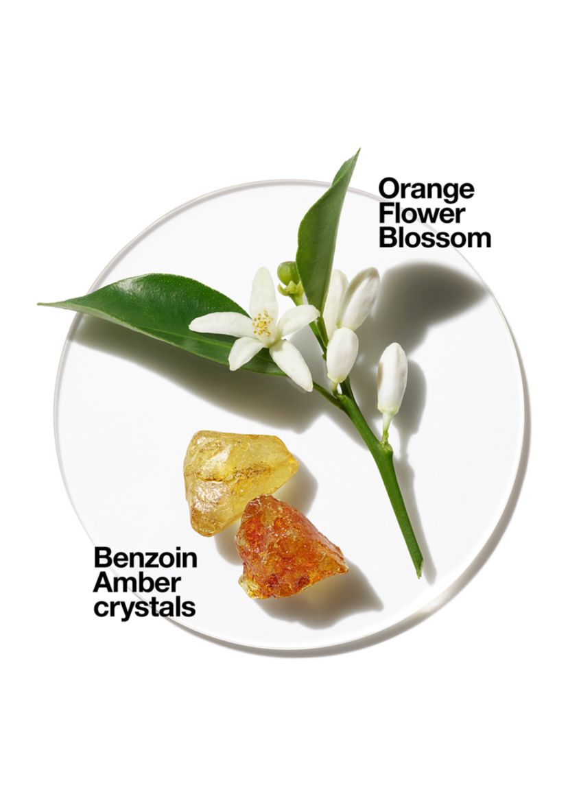 The Aromatics Fragrance Collection - Belk Exclusive - $105 Value!