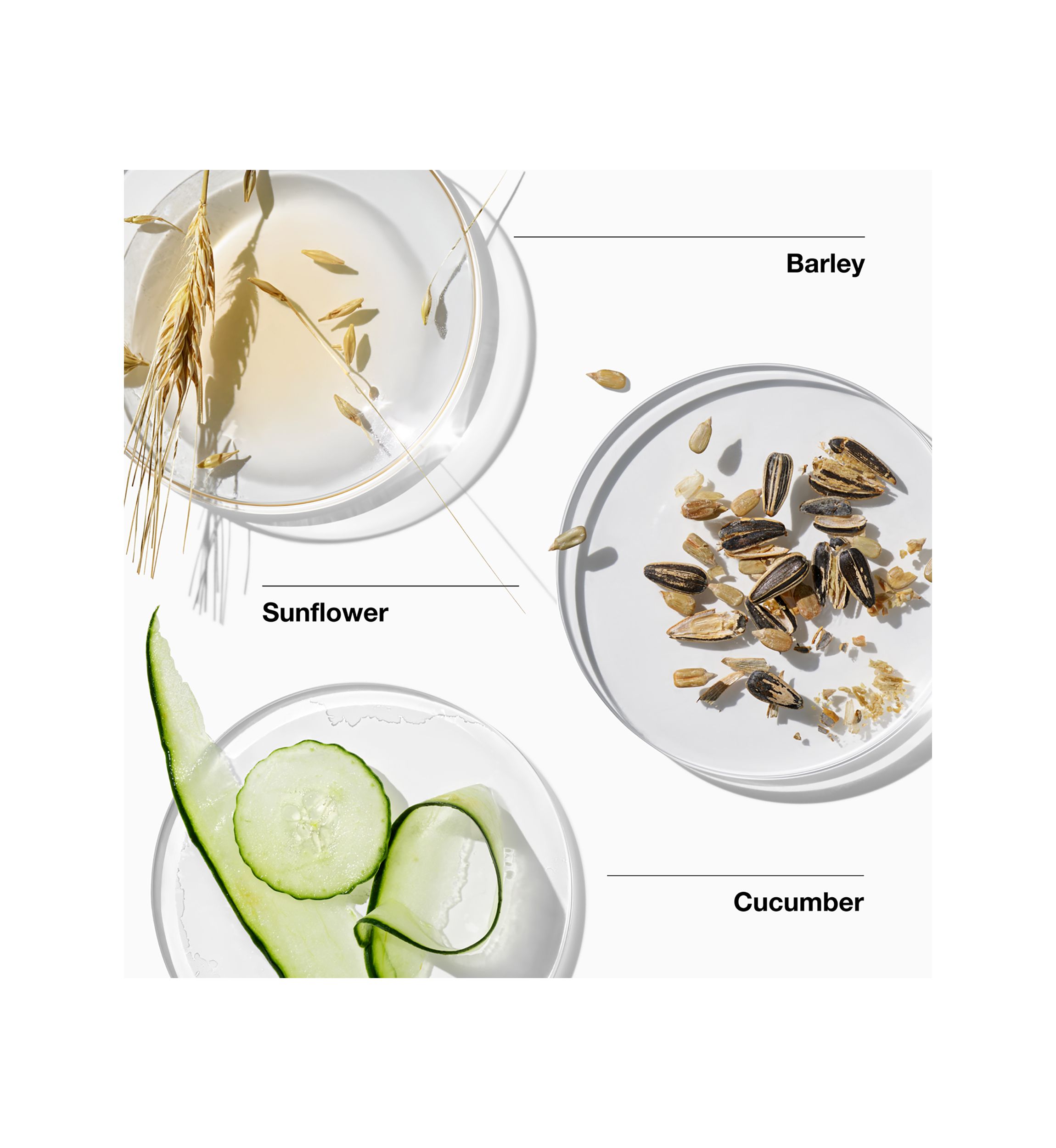  For Men™ Oil-Free Moisturizer