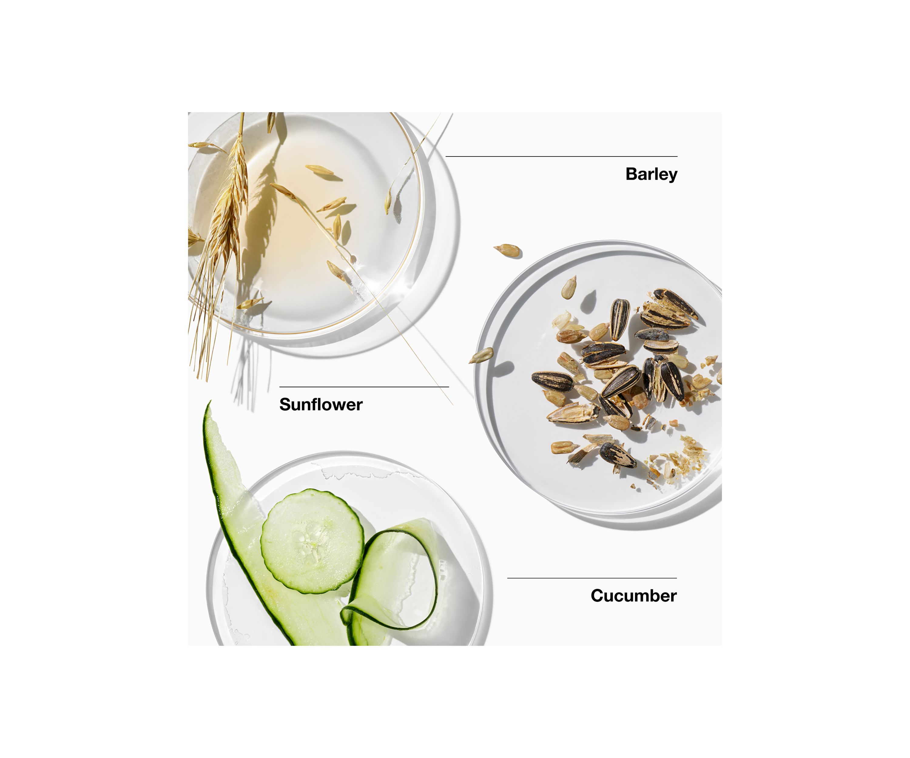  For Men™ Oil-Free Moisturizer