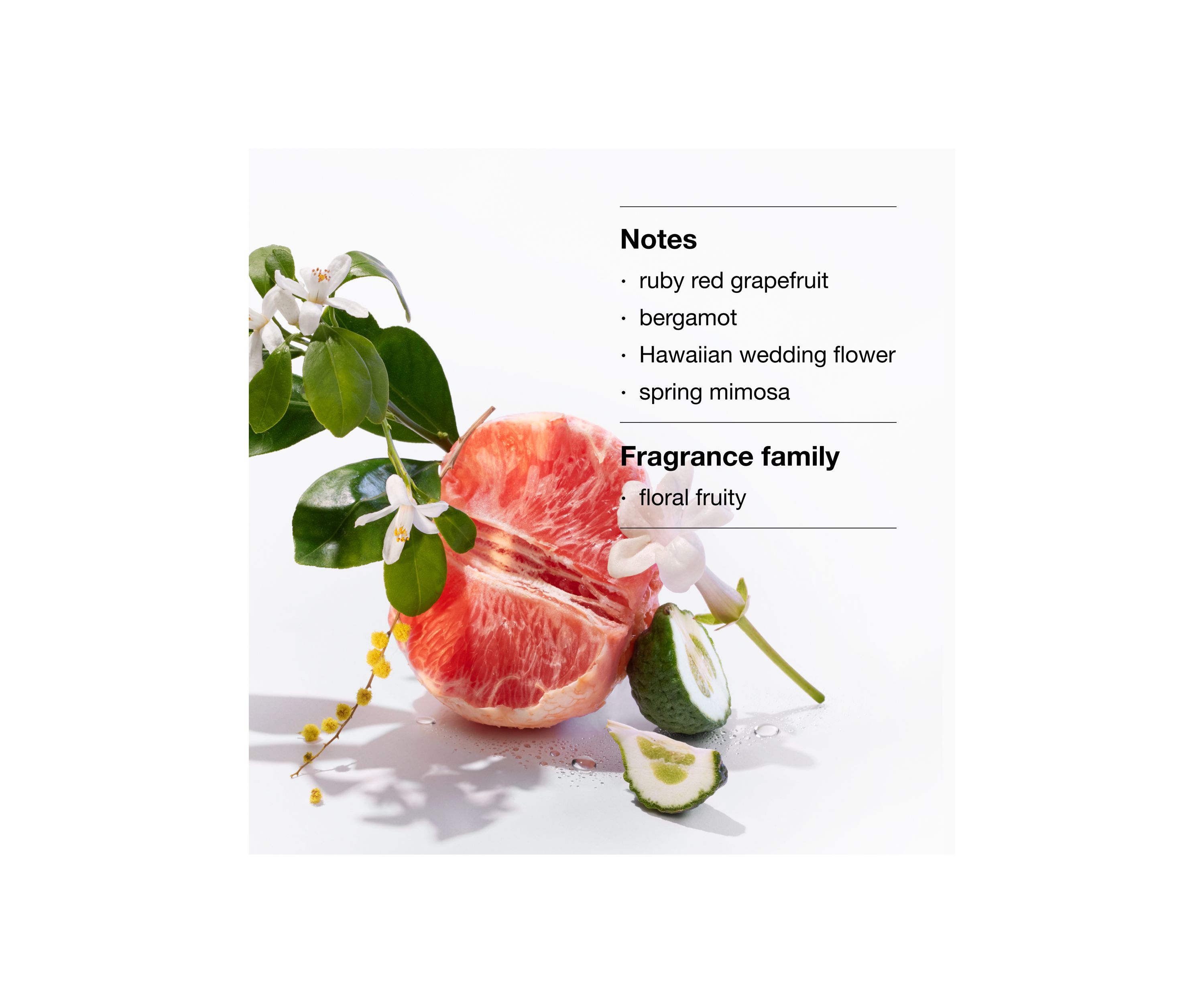 Happy™ Treats Perfume & Body Lotion Gift Set - $165 Value!
