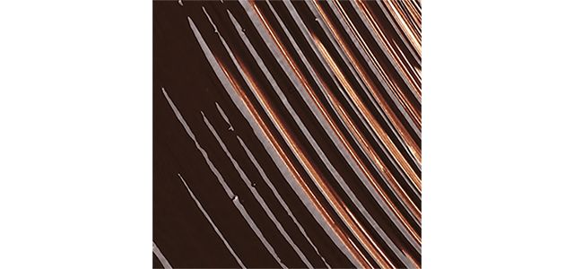 Intense Black/Brown