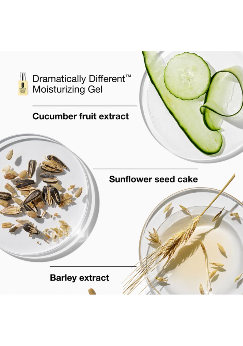 Great Skin Everywhere Skincare Gift Set for Combination Oily Skin - $120 Value!