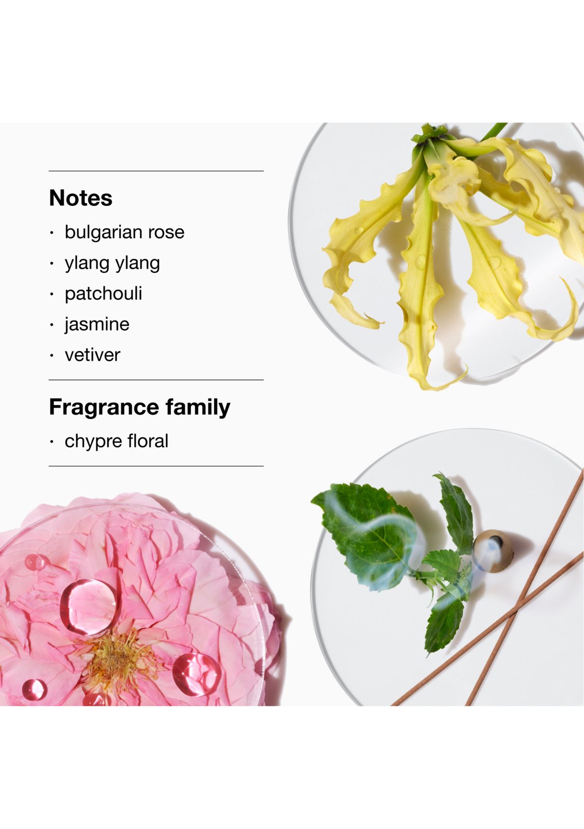 Aromatics Elixir Riches Signature Perfume Gift Set - $172 Value!