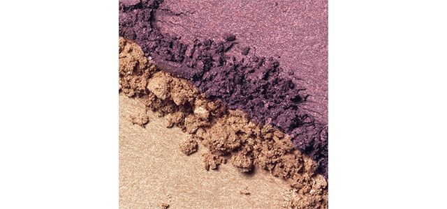 BEACH PLUM  - Shimmer