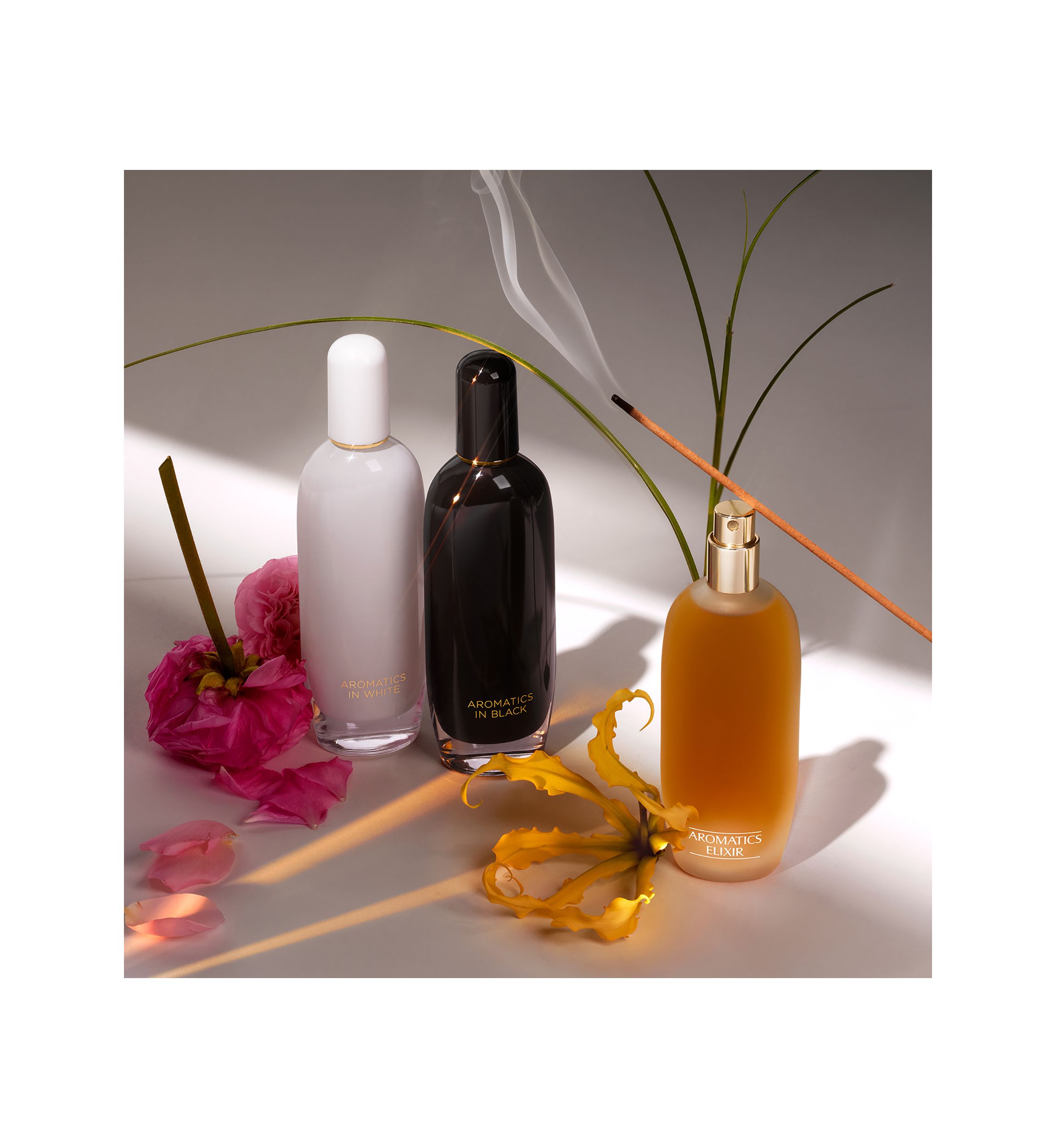 Aromatics in Black -  Belk Exclusive Fragrance
