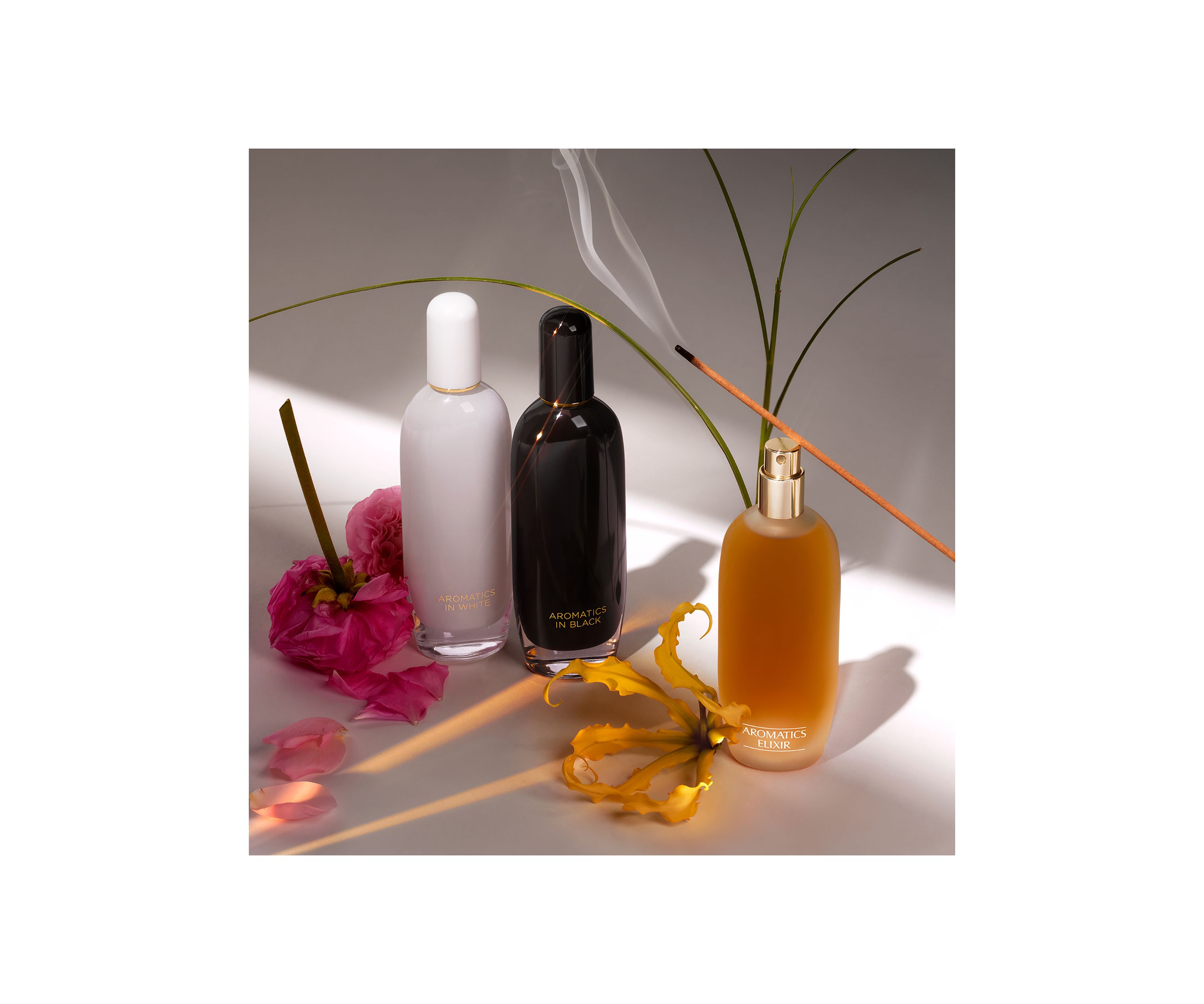 Aromatics in Black -  Belk Exclusive Fragrance
