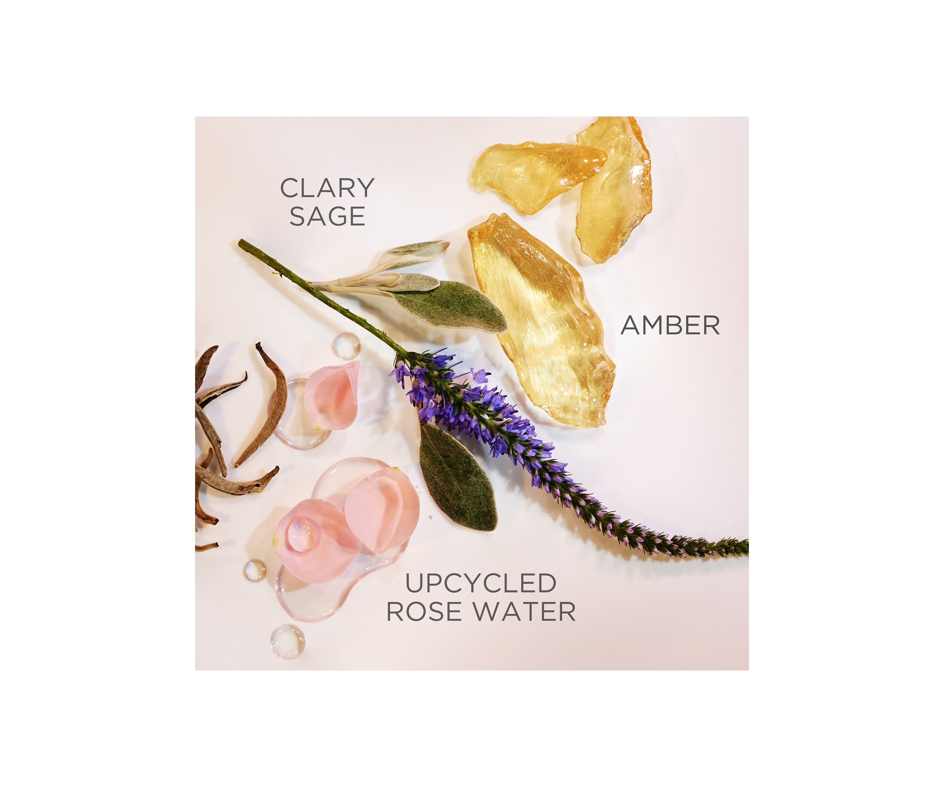 White Tea Eau de Parfum