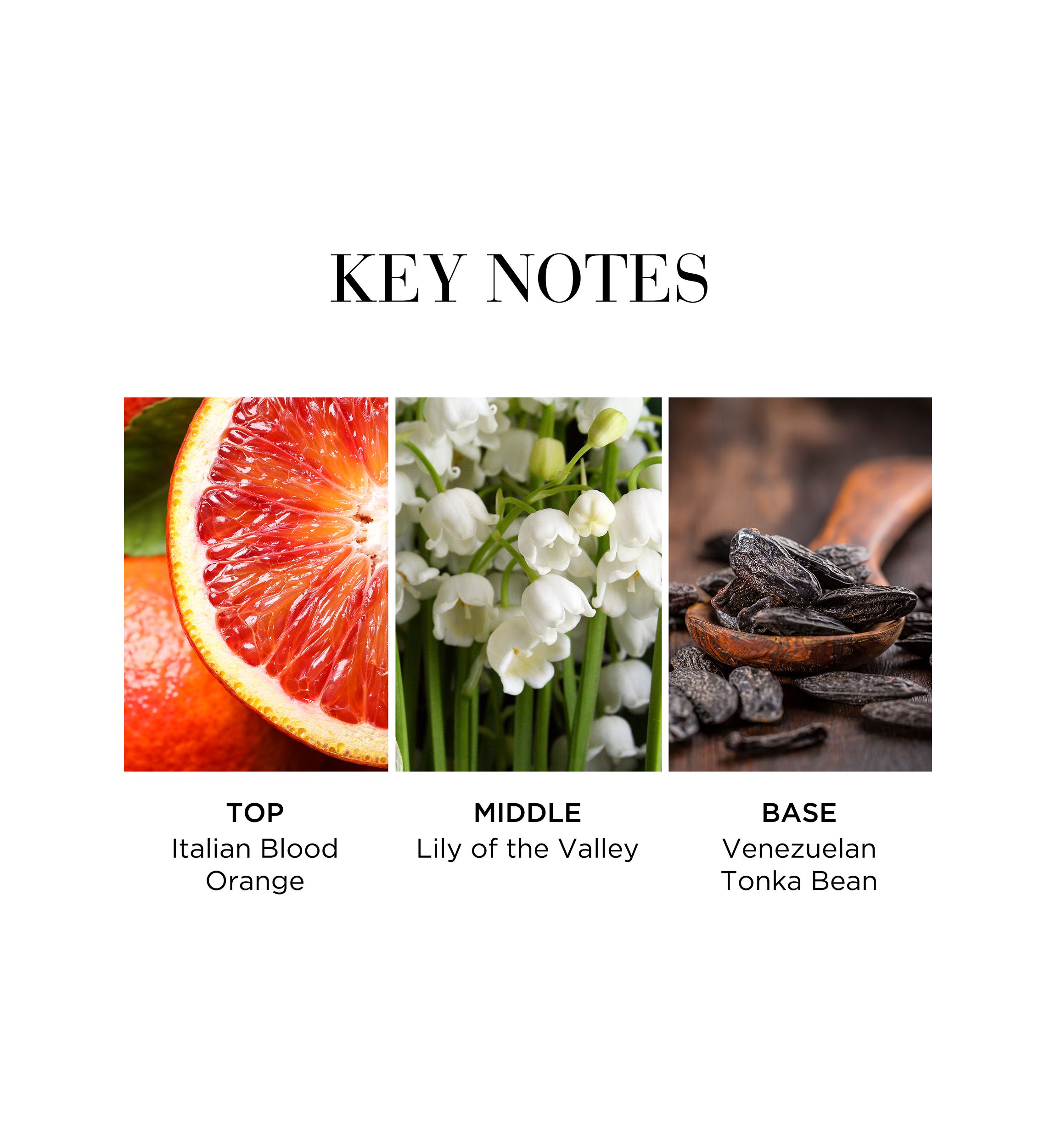 White Tea Eau Fraiche Eau de Toilette 
