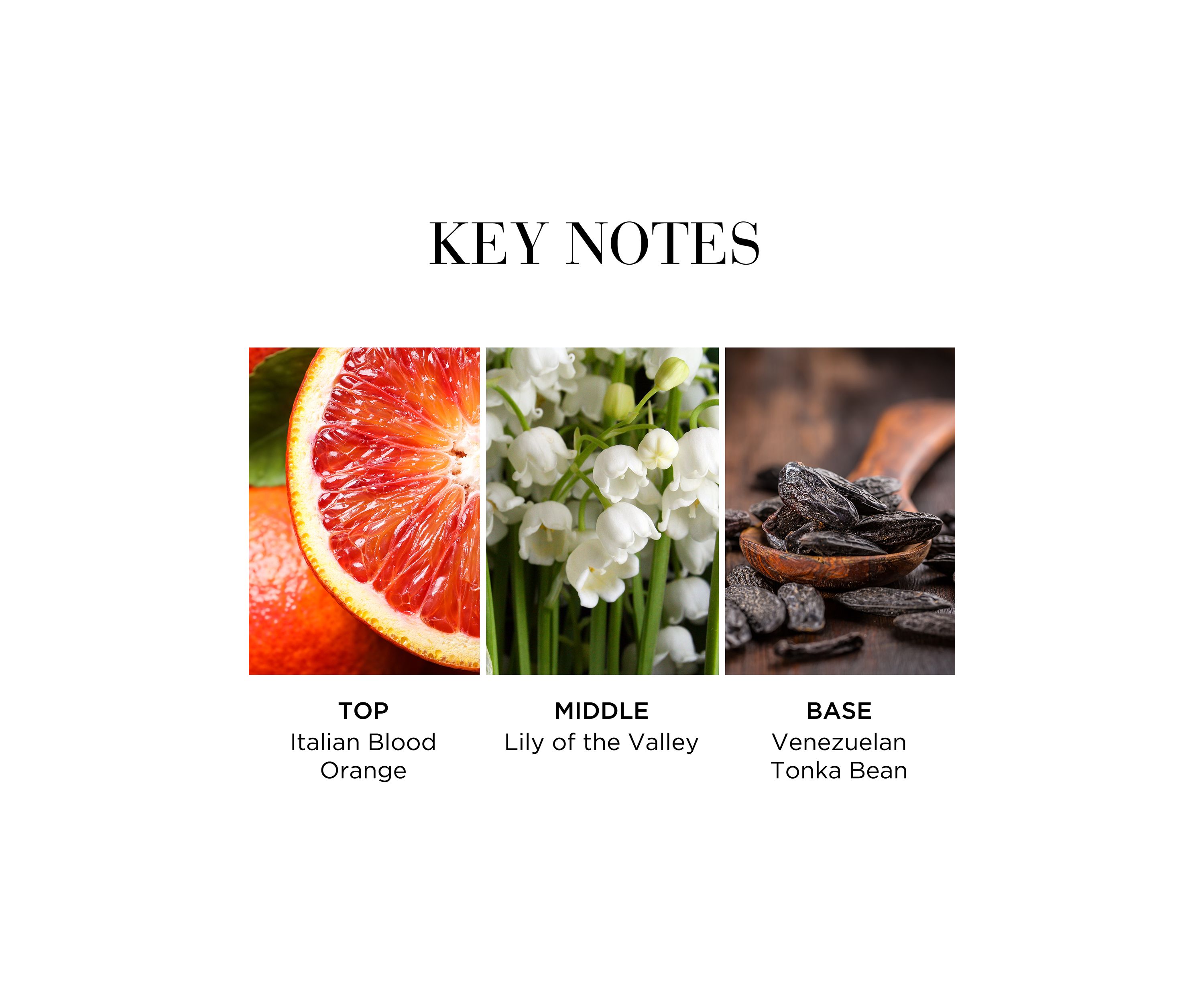 White Tea Eau Fraiche Eau de Toilette 