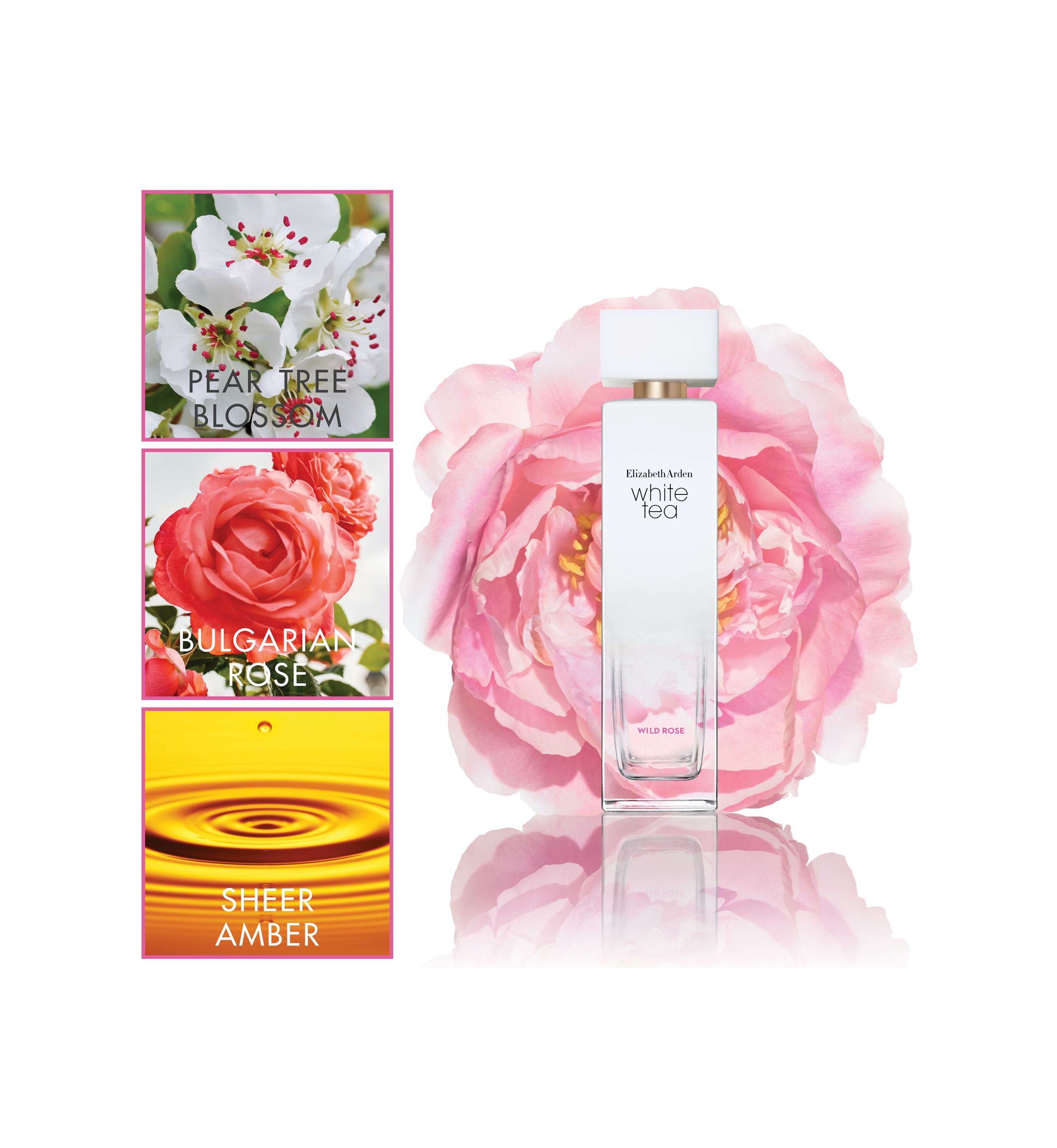 White Tea Wild Rose Eau De Toilette Spray